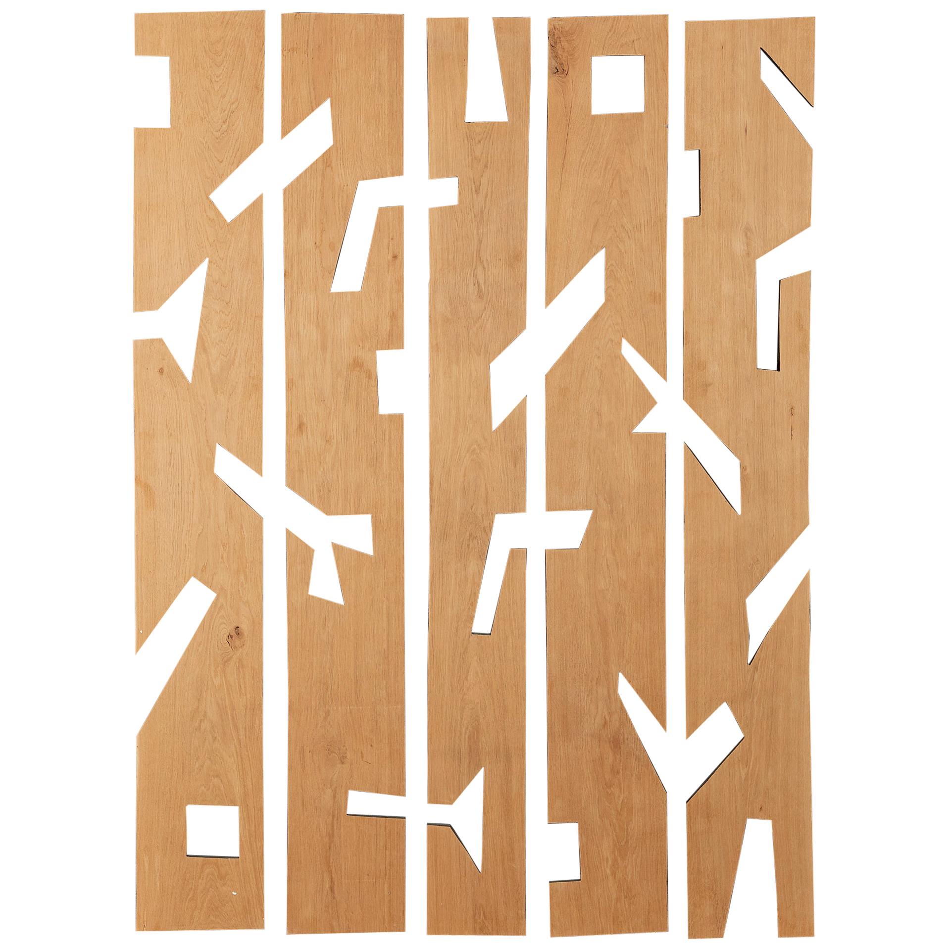 Franck Evennou, ensemble de cinq panneaux de bois, France, 2020 en vente