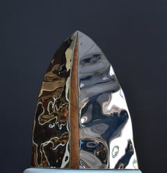 Artefact I by Franck K - Reflective leaf-shaped sculpture