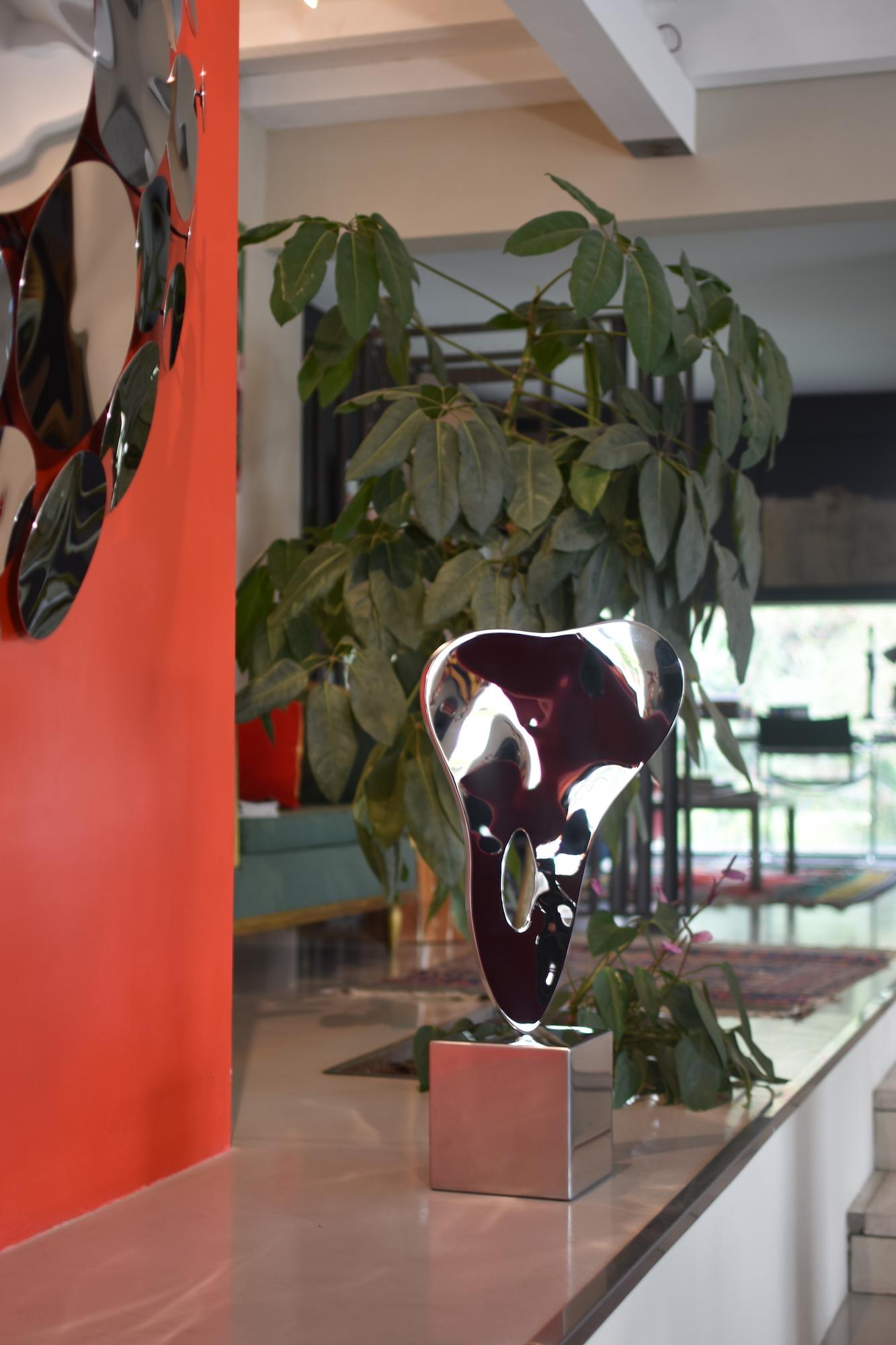 Ectoplasma I di Franck K - Scultura in acciaio inossidabile, riflessi, luce, visione in vendita 3