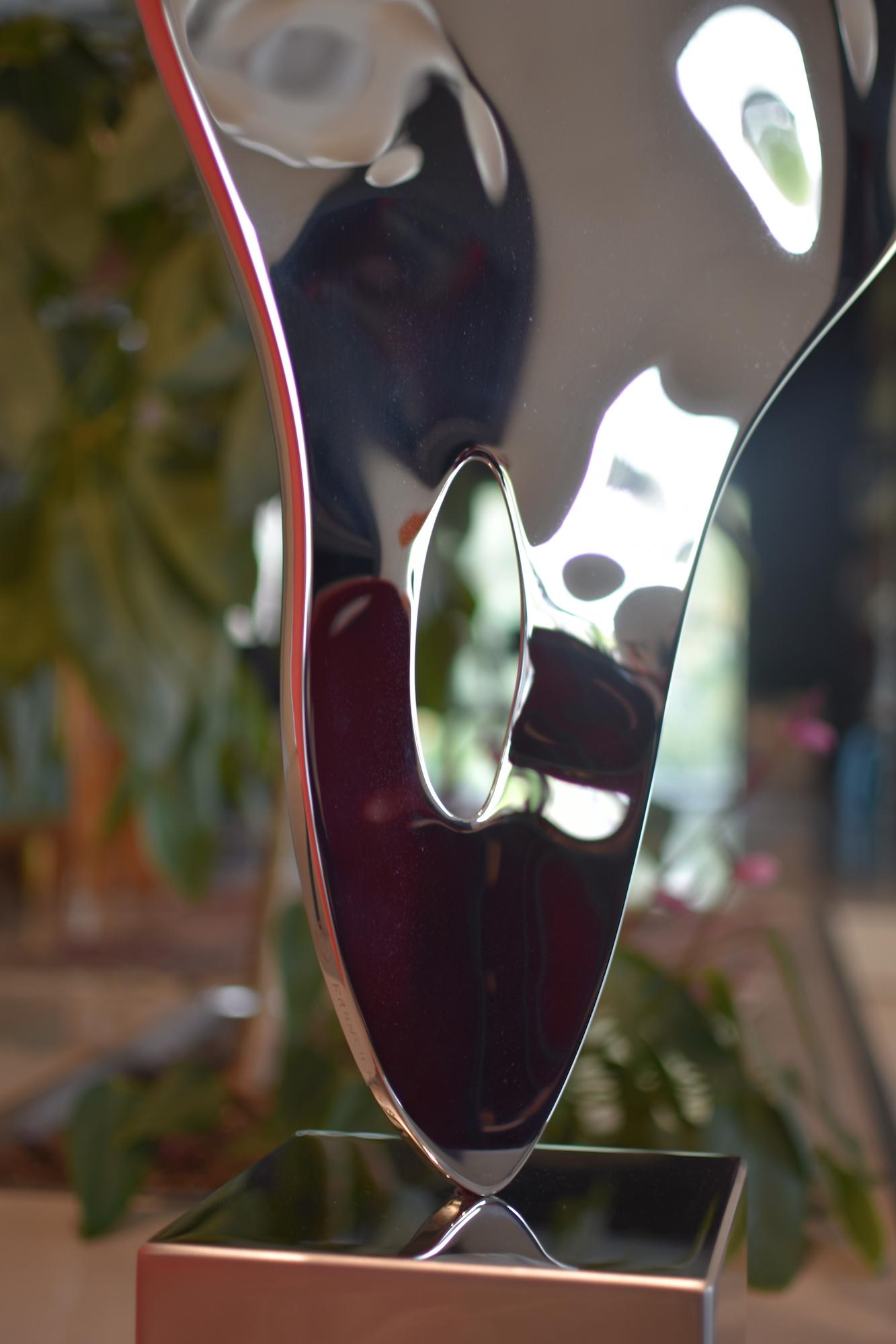 Ectoplasma I di Franck K - Scultura in acciaio inossidabile, riflessi, luce, visione in vendita 5