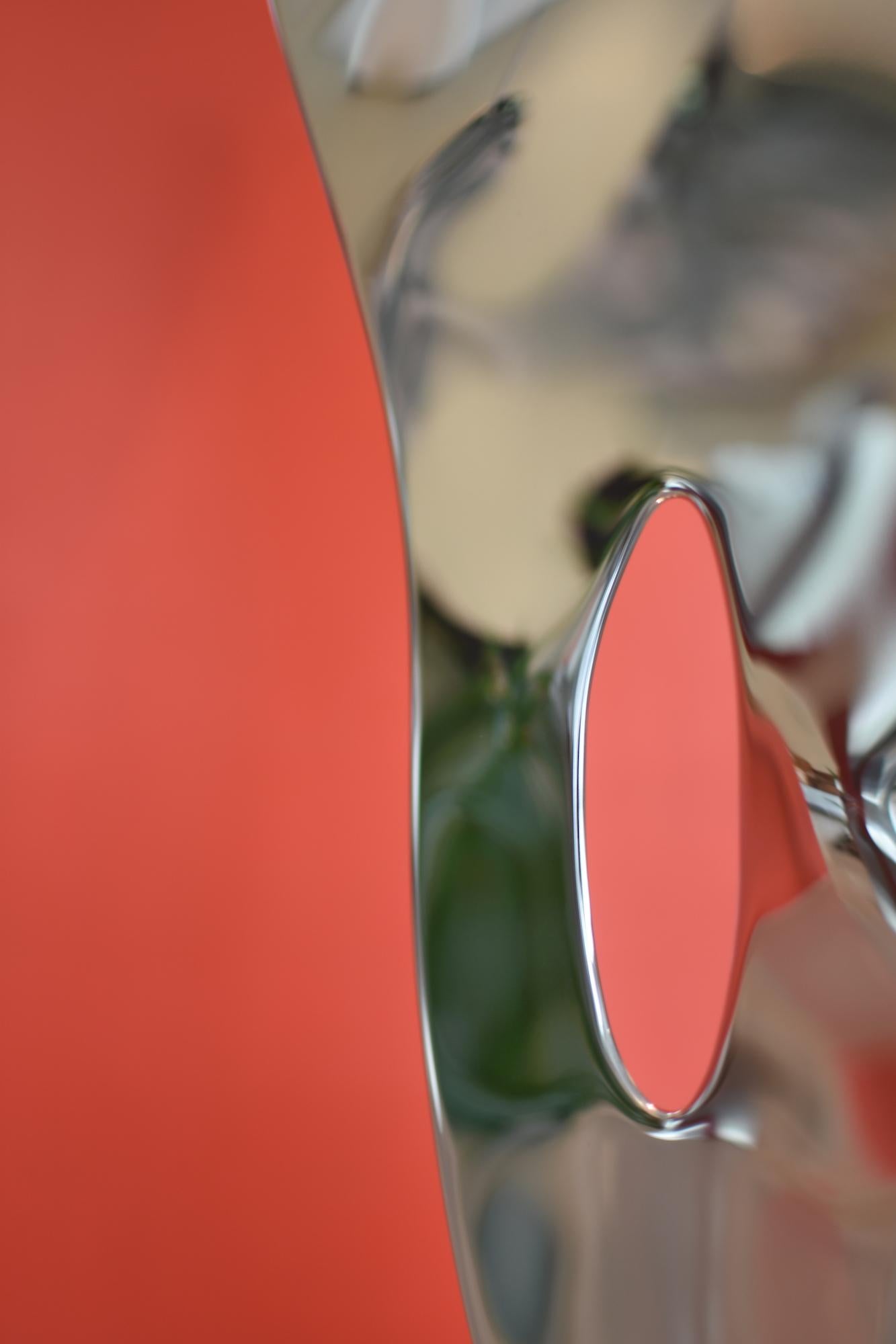 Ectoplasma I di Franck K - Scultura in acciaio inossidabile, riflessi, luce, visione in vendita 6