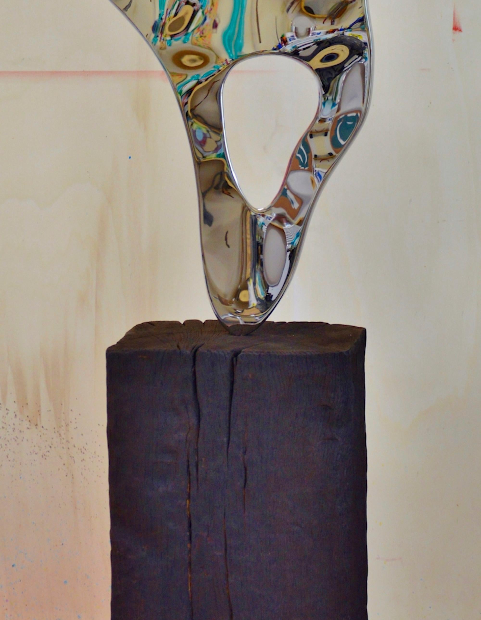 Ectoplasm II de Franck K - Sculpture en acier inoxydable, reflets, lumière, vision en vente 3