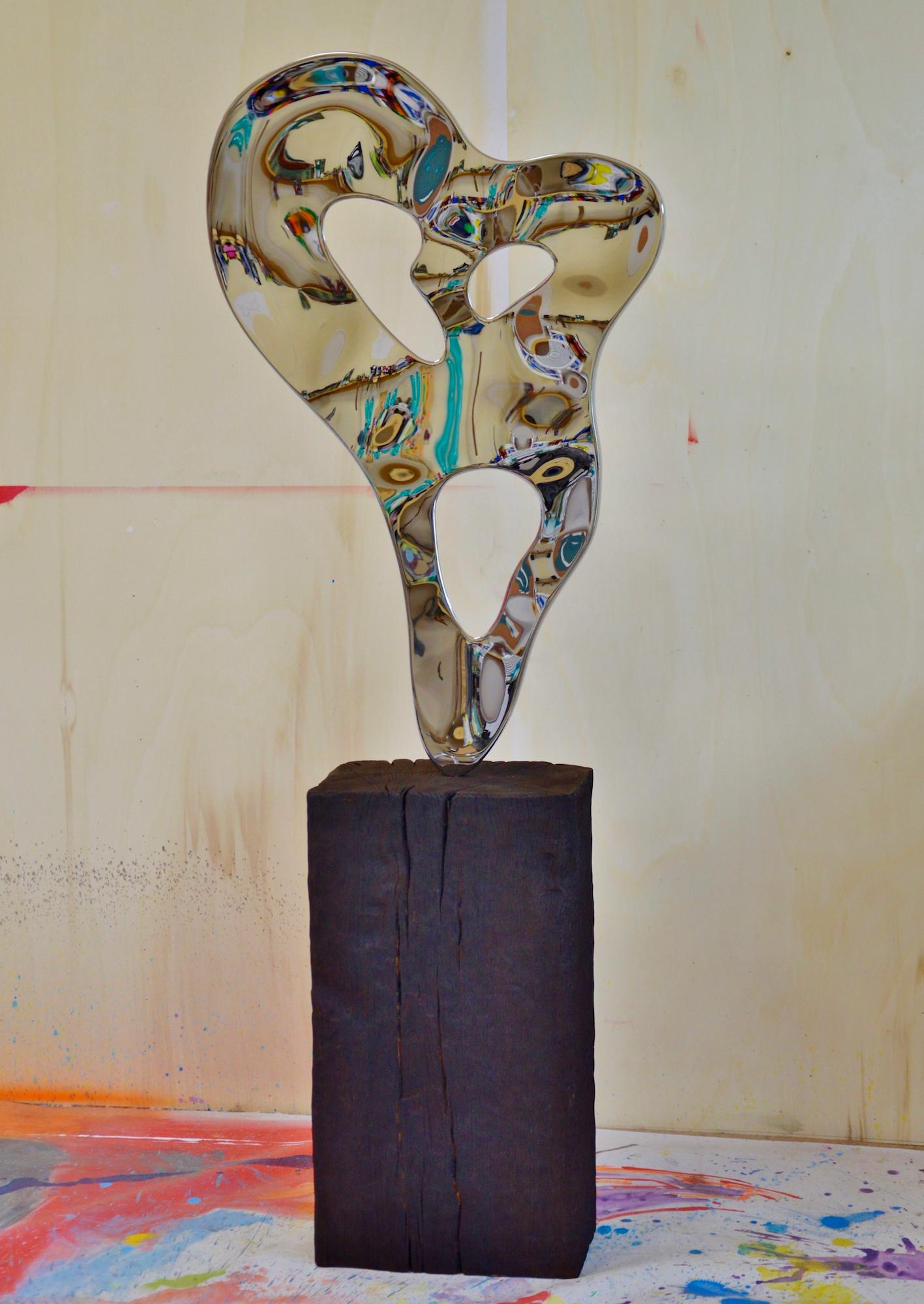 Ectoplasm II de Franck K - Sculpture en acier inoxydable, reflets, lumière, vision