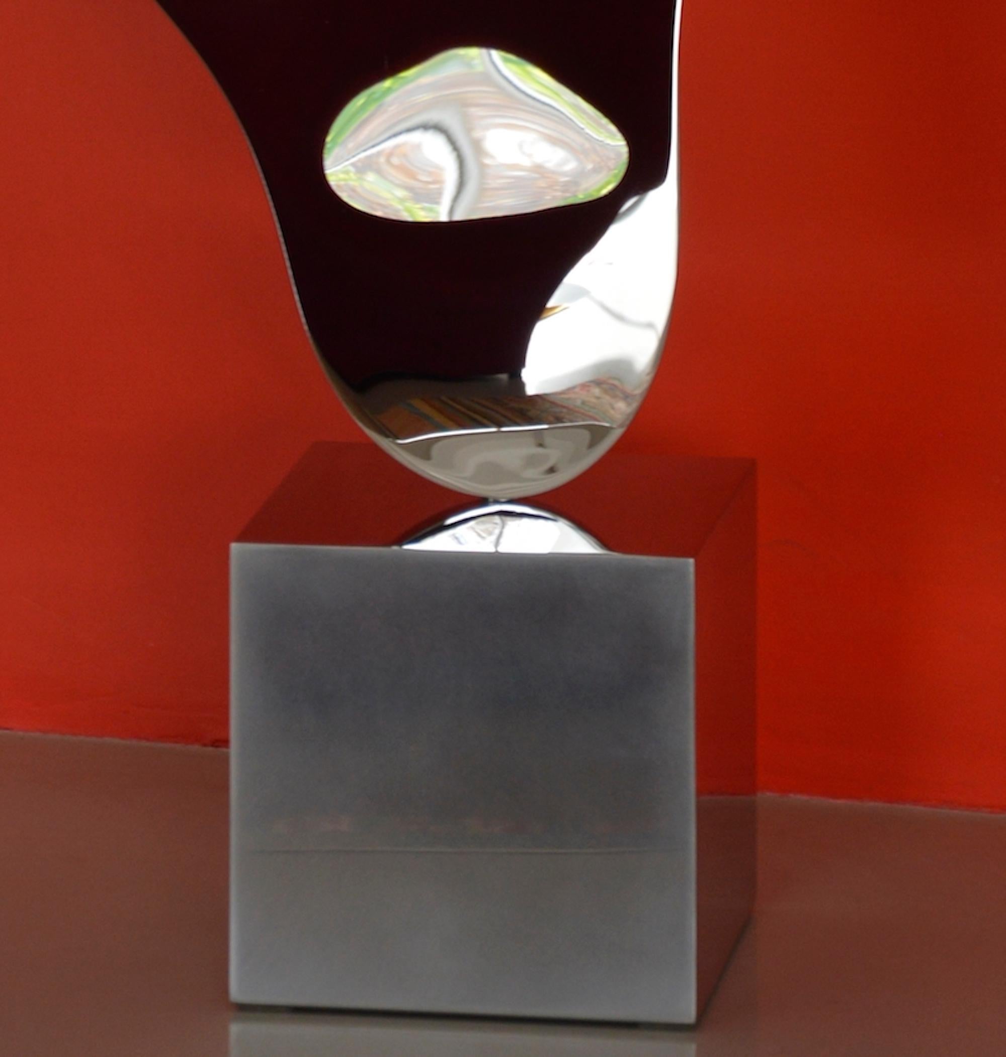 Ectoplasm III by Franck K - Stainless steel sculpture, reflections, perception For Sale 4