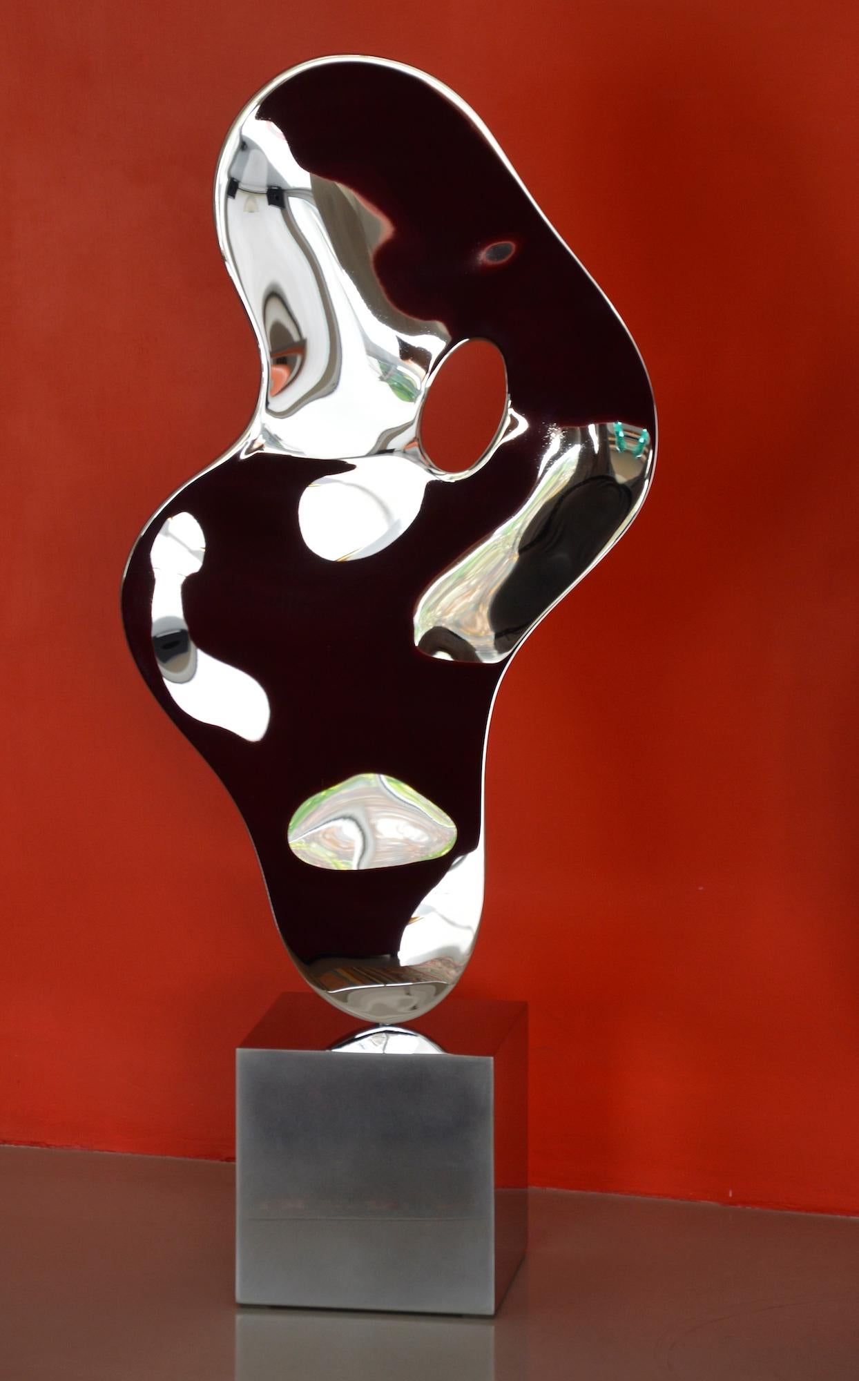 Ectoplasm III de Franck K - Sculpture en acier inoxydable, reflets, perception