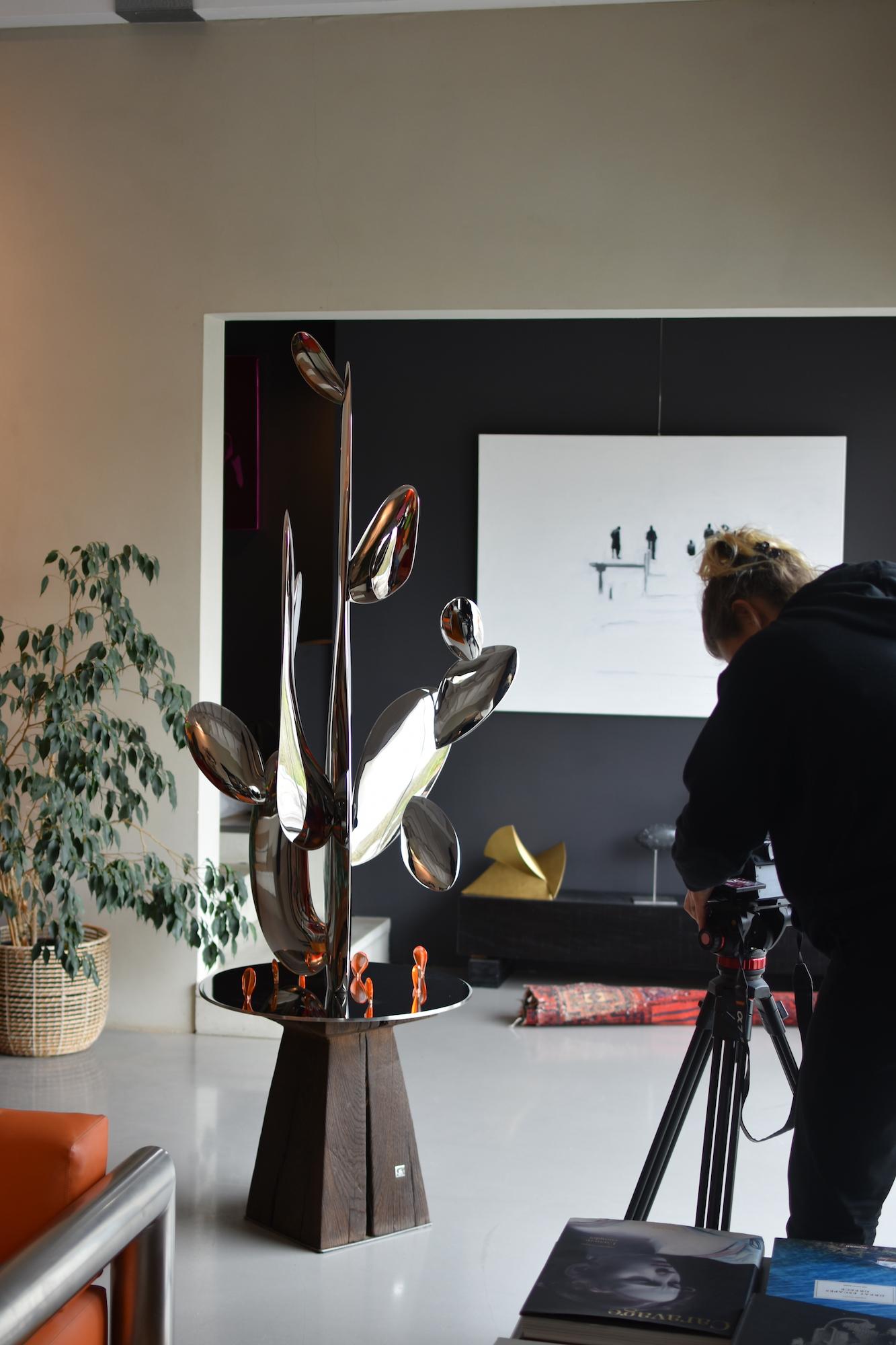 Kaktus di Franck K - Scultura in acciaio inossidabile, riflessi, luce, visione in vendita 6