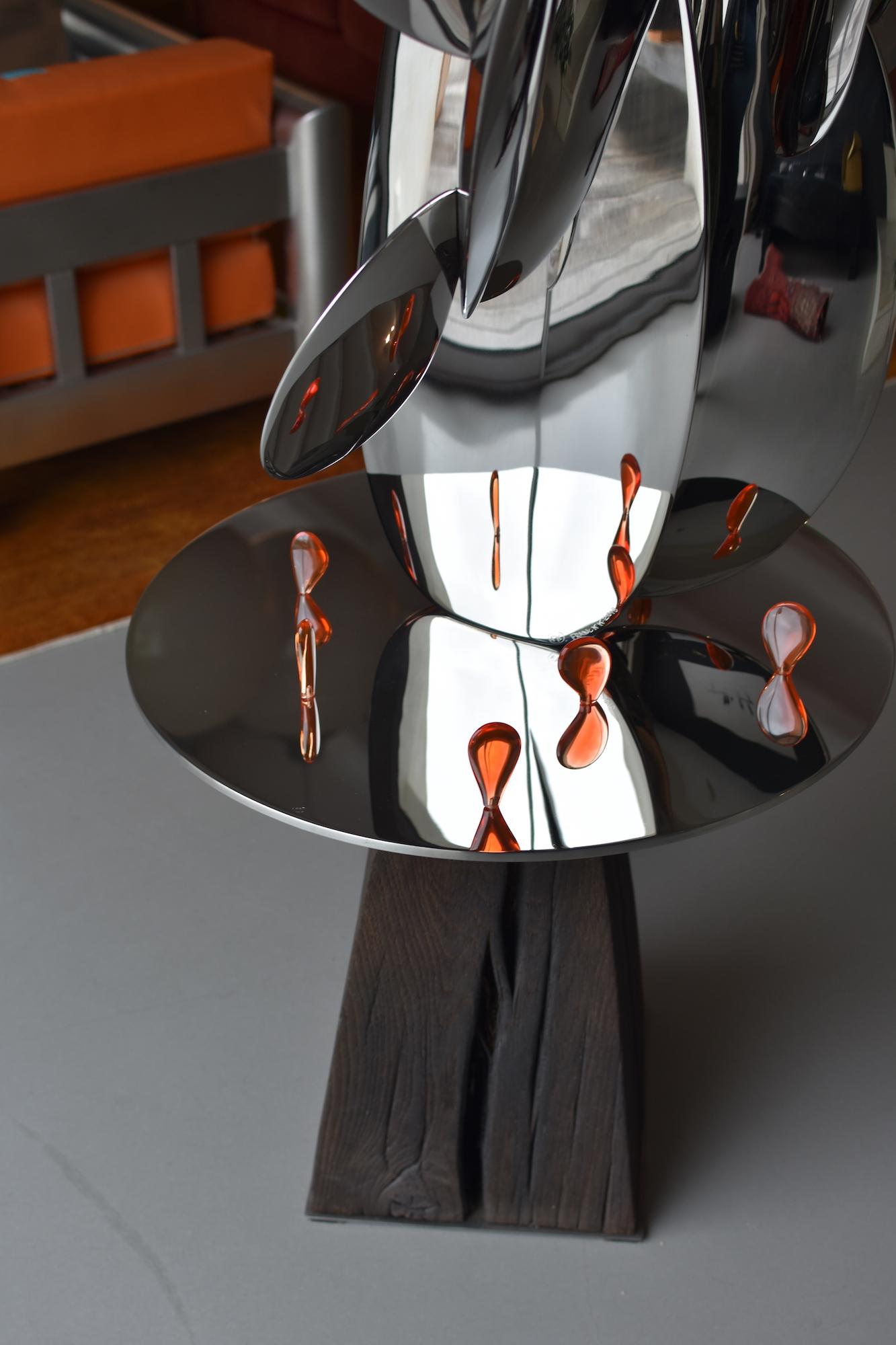 Kaktus by Franck K - Stainless steel sculpture, reflections, light, vision For Sale 8