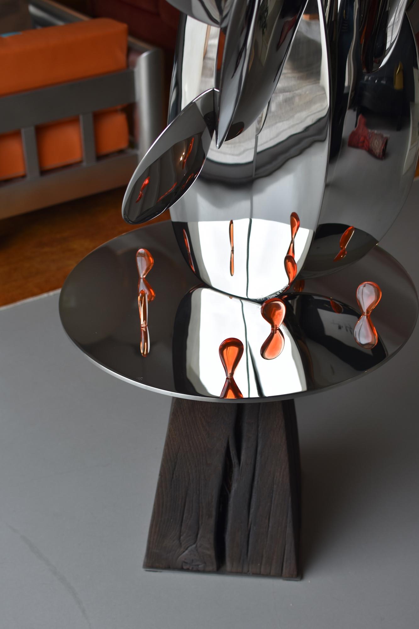 Kaktus di Franck K - Scultura in acciaio inossidabile, riflessi, luce, visione in vendita 8