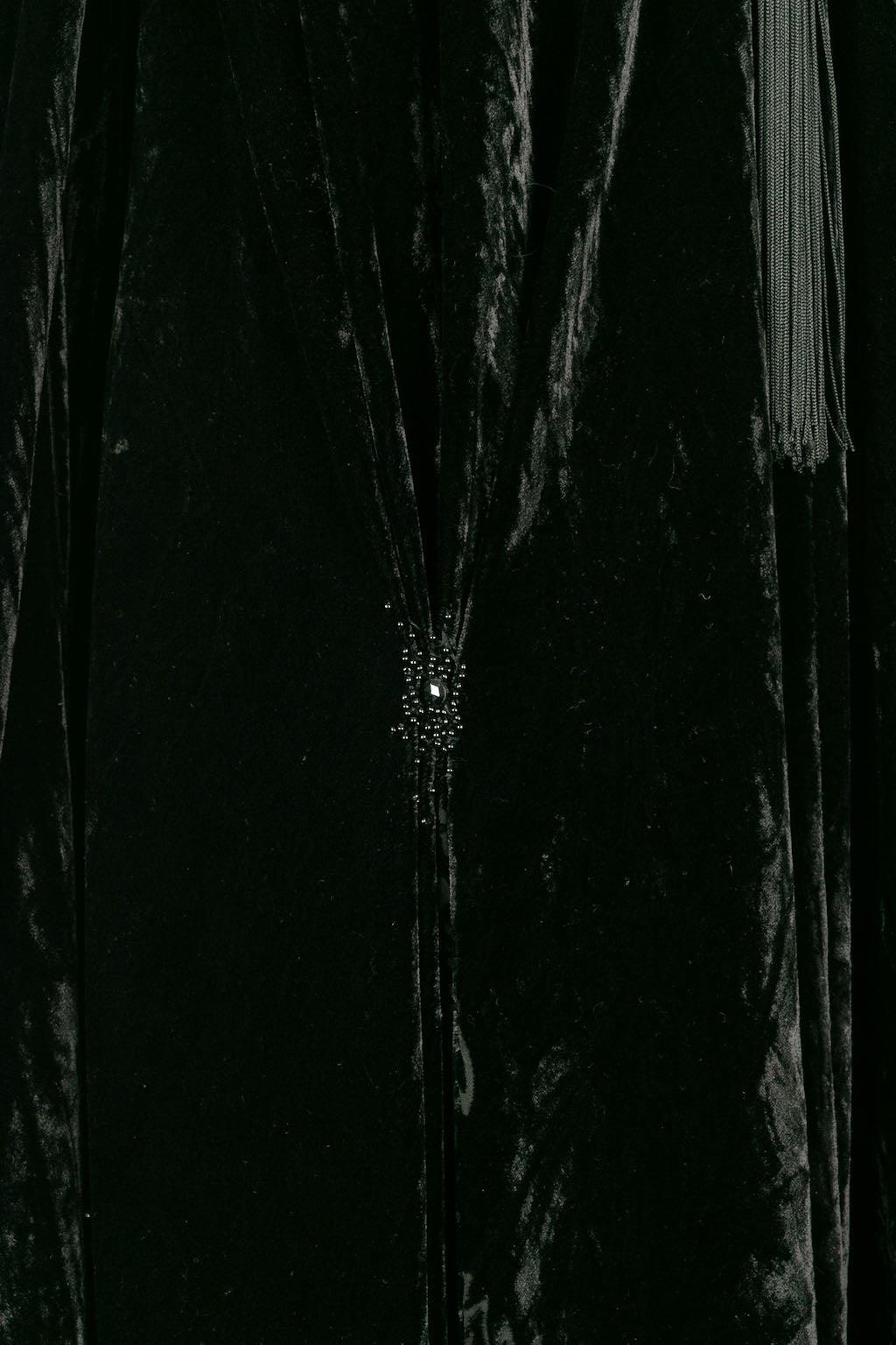 Franck Sorbier Haute Couture Cape in Velvet, 2014/15 For Sale 4