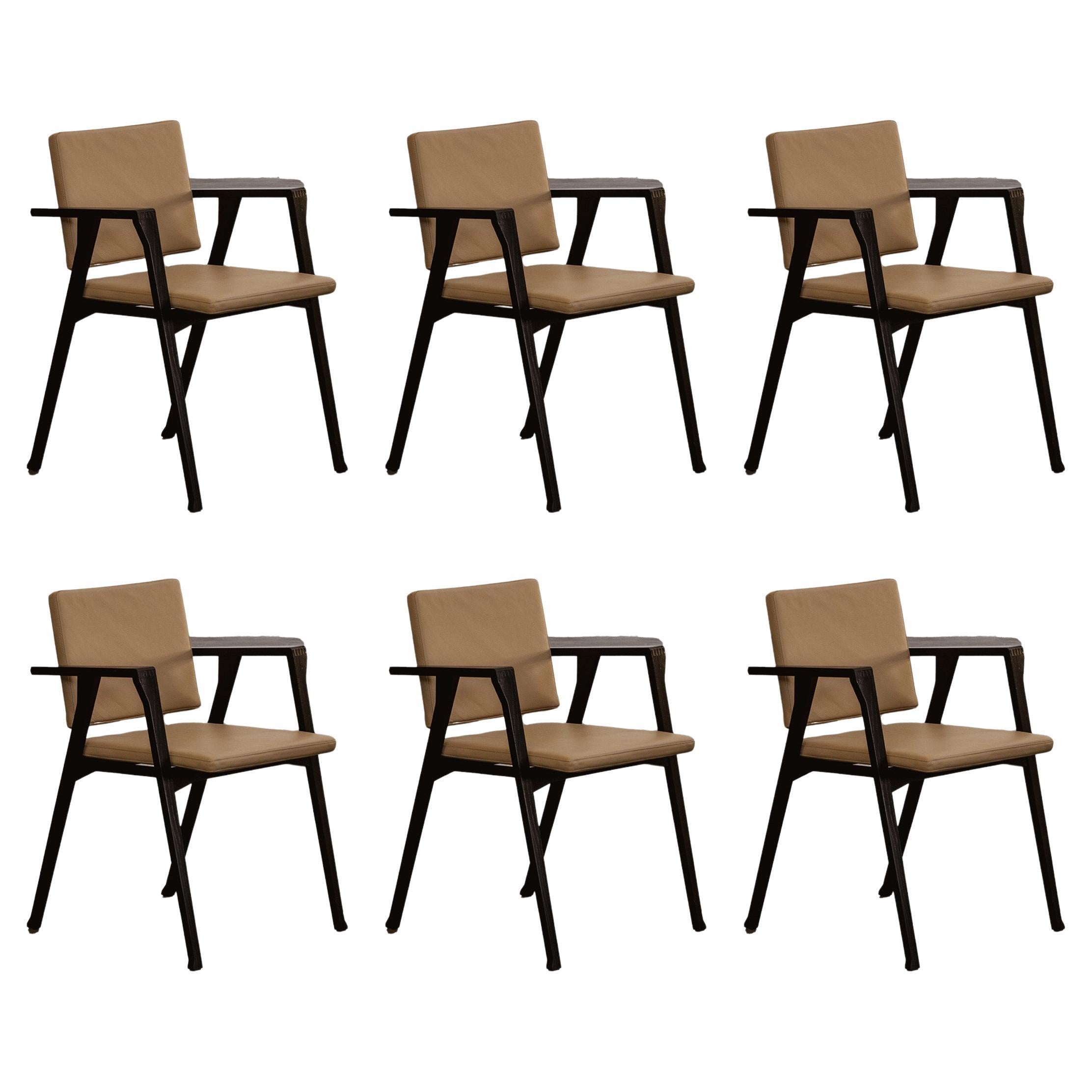 Franco Albini 832 “Luisa” Armchair for Poggi, Italy, 1953, Set of 6 For Sale