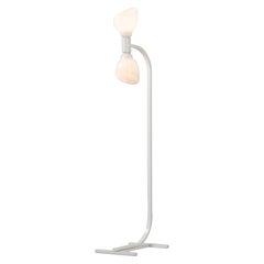 Franco Albini & Franca Helg AM/AS floor lamp Sirrah 1969