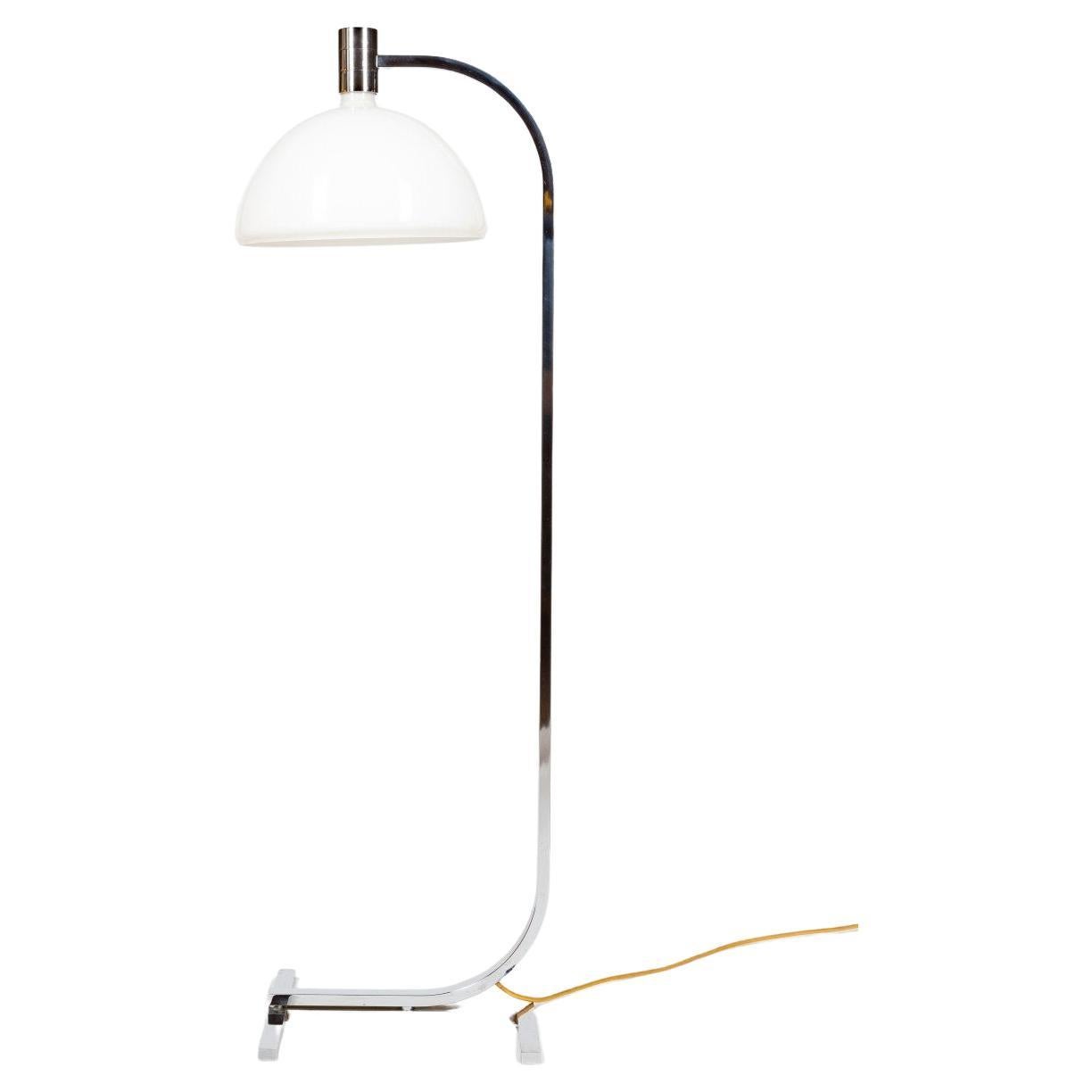 Franco Albini  Franca Helg Antonio Piva Floor Lamp from Sirrah Italy 1969s