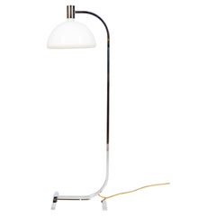 Franco Albini  Franca Helg Antonio Piva Floor Lamp from Sirrah Italy 1969s