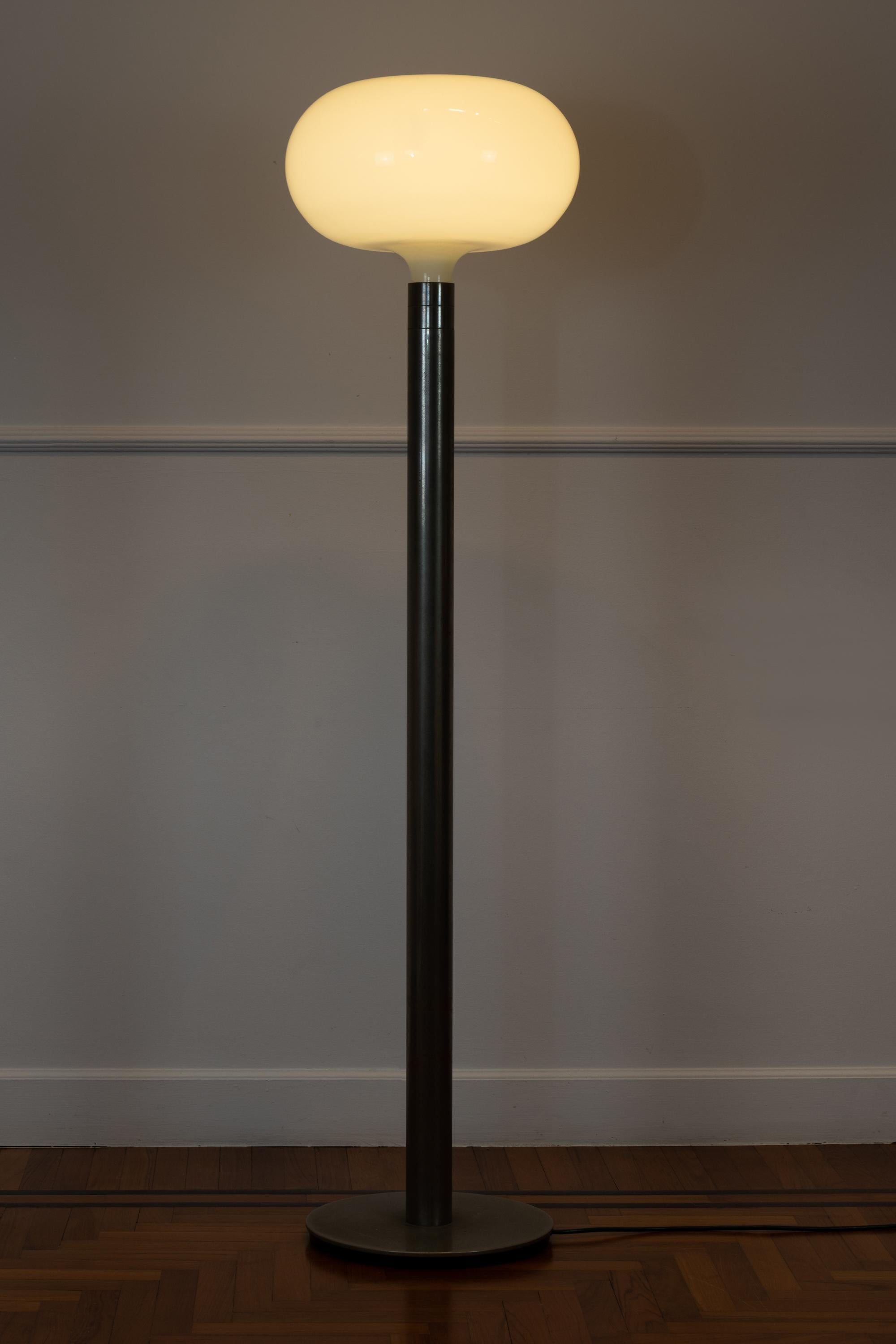 Italian Franco Albini & Franca Helg Floor Lamp AM AS for Sirrah in Metal and Glass 1970
