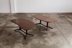 Franco Albini "T22" Desks for Poggi, 1958, Set of 2