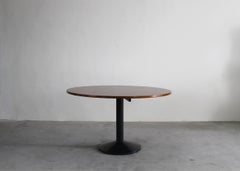 Franco Albini TL30 Round Table in Metal and Wood by Poggi 1950s