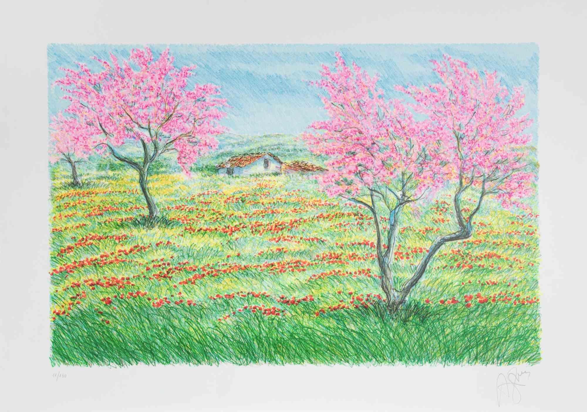 Lithograph on paper realized by Franco Azzinari in 1980s.

Hand signed and numbered in pencil.

Edition of 130.

Excellent condition.