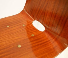 Franco Campo & Carlo Graffi chair for Home - Italy 1950s