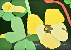 Hierba Agria - Serigrafía de Franco Costa - Años 90