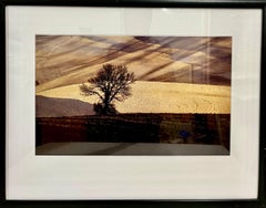 Fotografia d'epoca con trasferimento di colore di Franco Fontana, paesaggio a colori