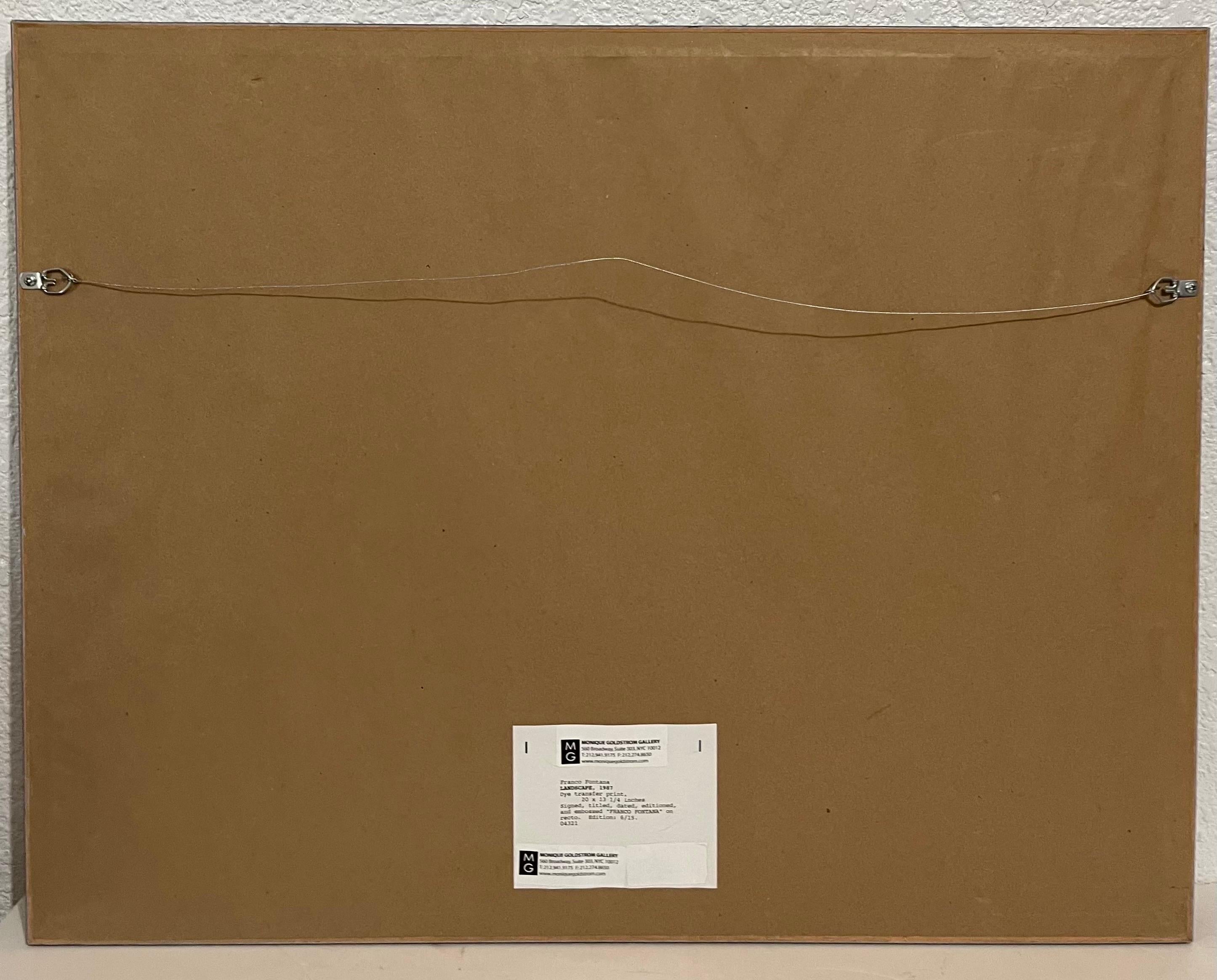 Photographie de paysage italienne Franco Fontana couleur transfert de teinture en vente 4