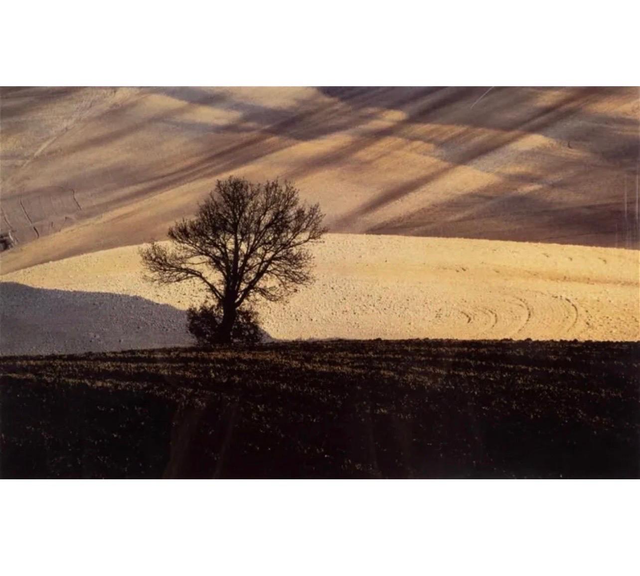 Fotografía italiana vintage de transferencia de tinte Franco Fontana Fotografía en color de un paisaje