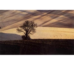 Italian Used Dye Transfer Photograph Franco Fontana Color Landscape Photo