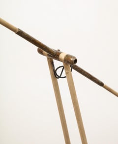 Franco Giovanni Legler for Arredoluce Floor Lamp