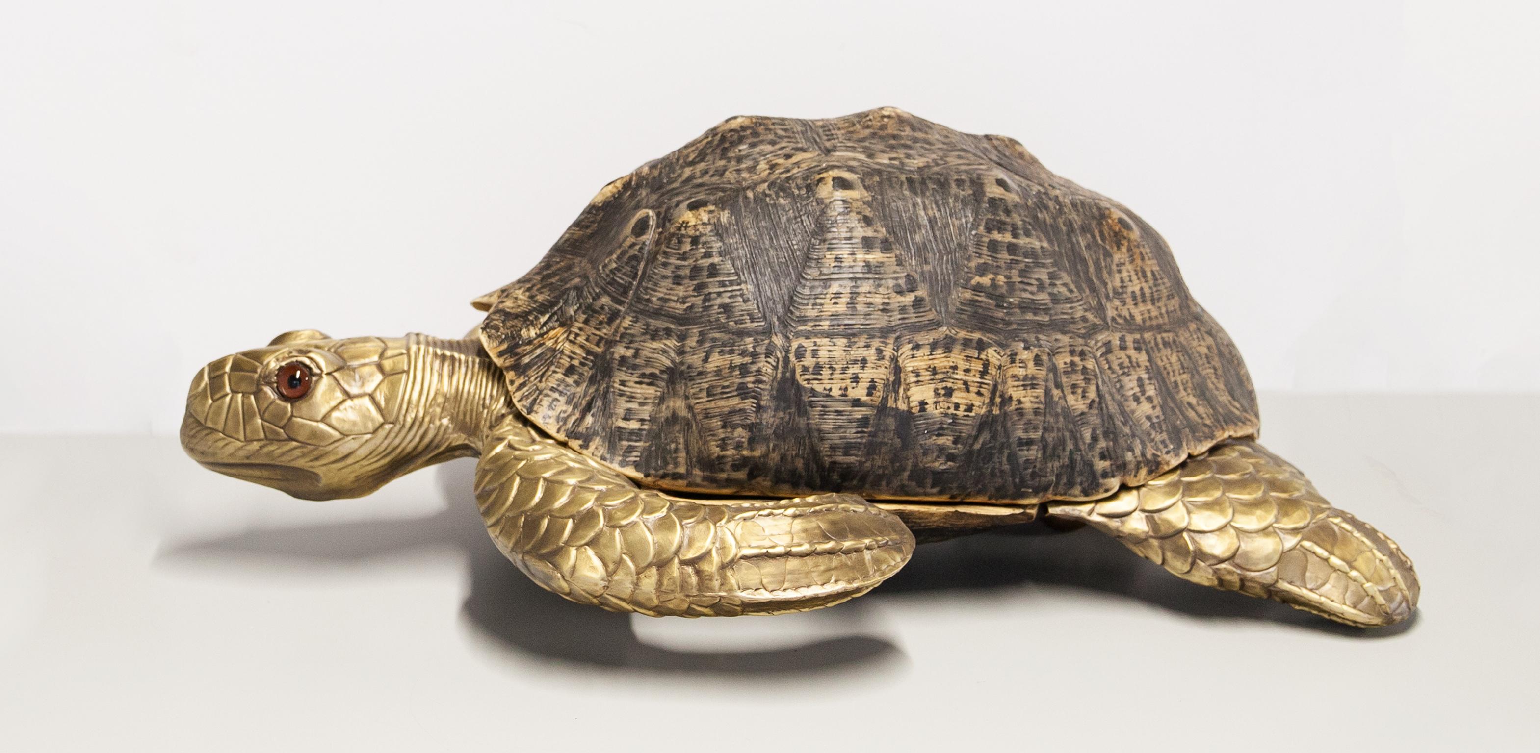 Sgabello tartaruga unico a grandezza naturale con un finto guscio di tartaruga in fibra di vetro montato su una struttura in ottone massiccio e tre sfere in ottone massiccio. Impronta molto autentica di una vera tartaruga e sulla testa ci sono due