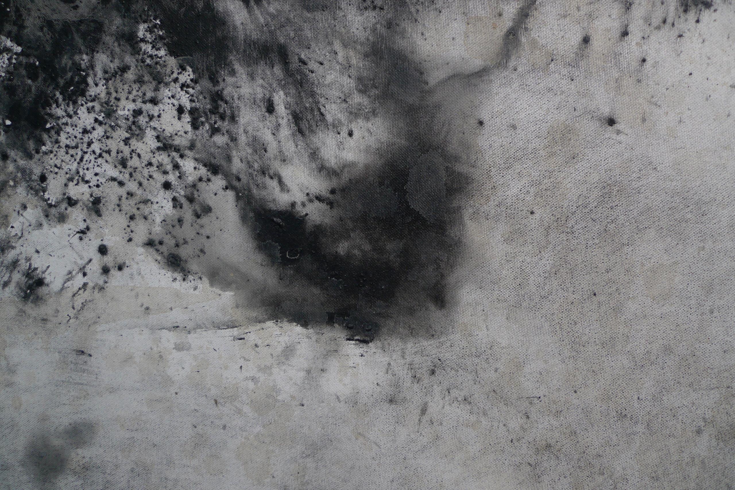 Alma von Franco Salas Borquez – Schwarz-Weiß-Gemälde, Meereswellen, Meereslandschaft im Angebot 4