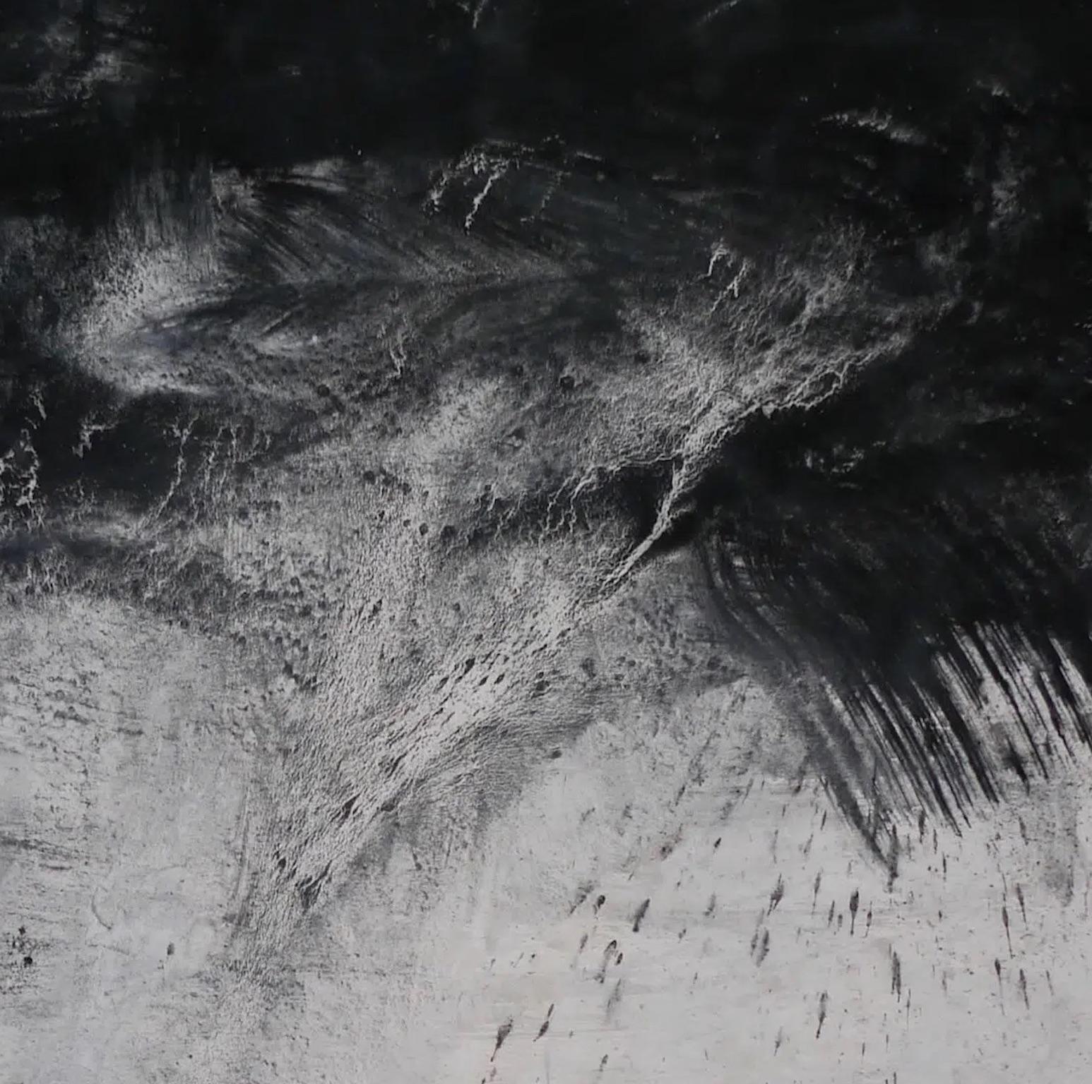 Zyklon von Franco Salas Borquez - Schwarz-Weiß-Malerei, Meereswellen, Meereslandschaft im Angebot 5