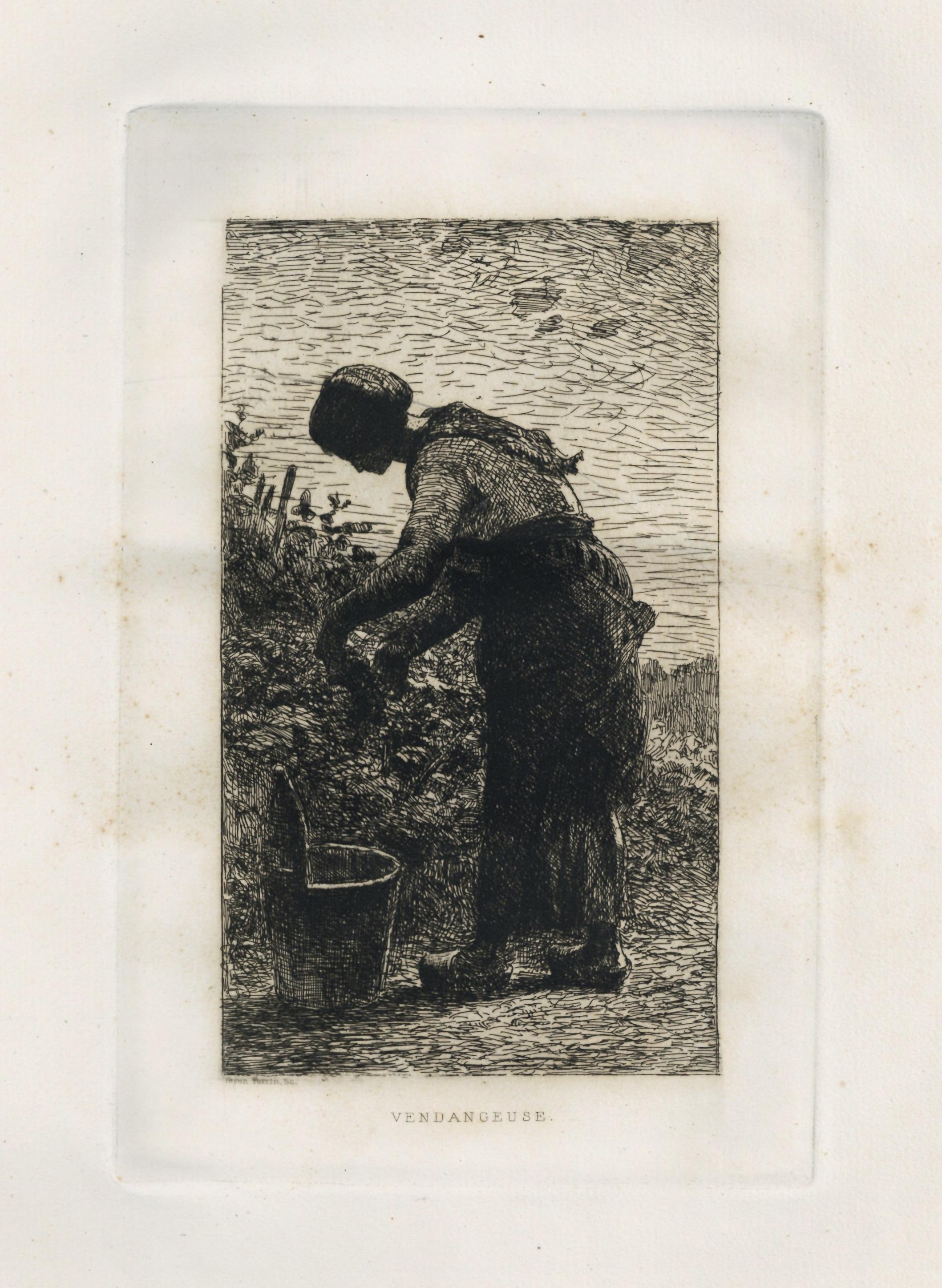 "Vendangeuse" original etching - Print by Francois Auguste Feyen-Perrin