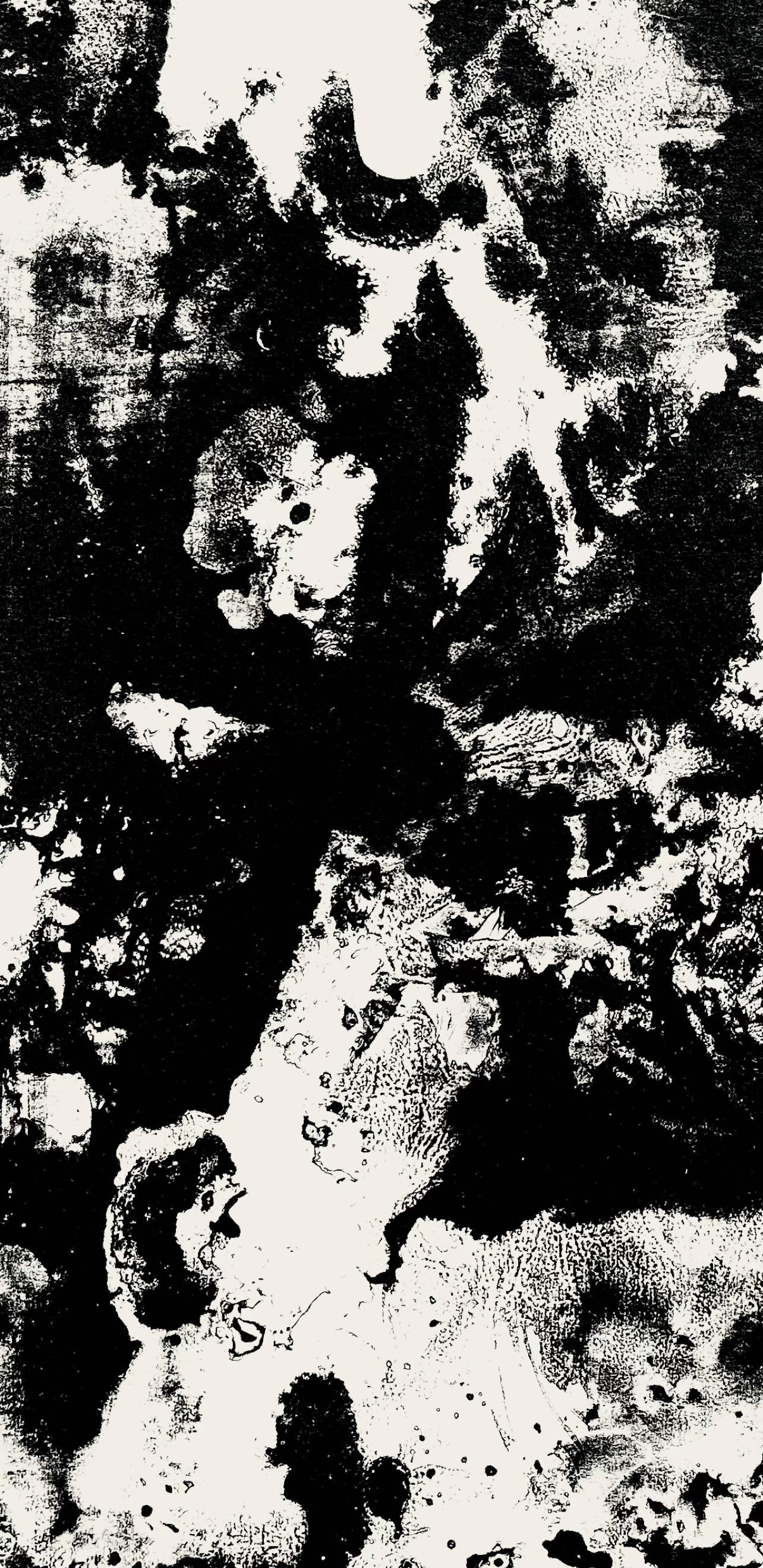 Fiedler, Composition, Derrière le miroir (d'après) - Print de François Fiedler