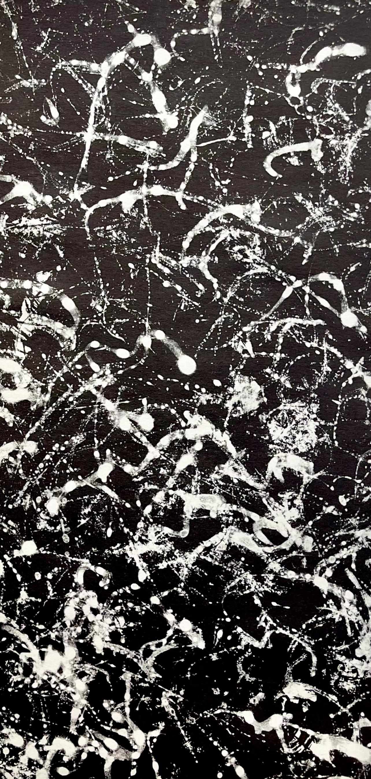 Fiedler, Composition, Derrière le miroir (d'après) - Moderne Print par François Fiedler