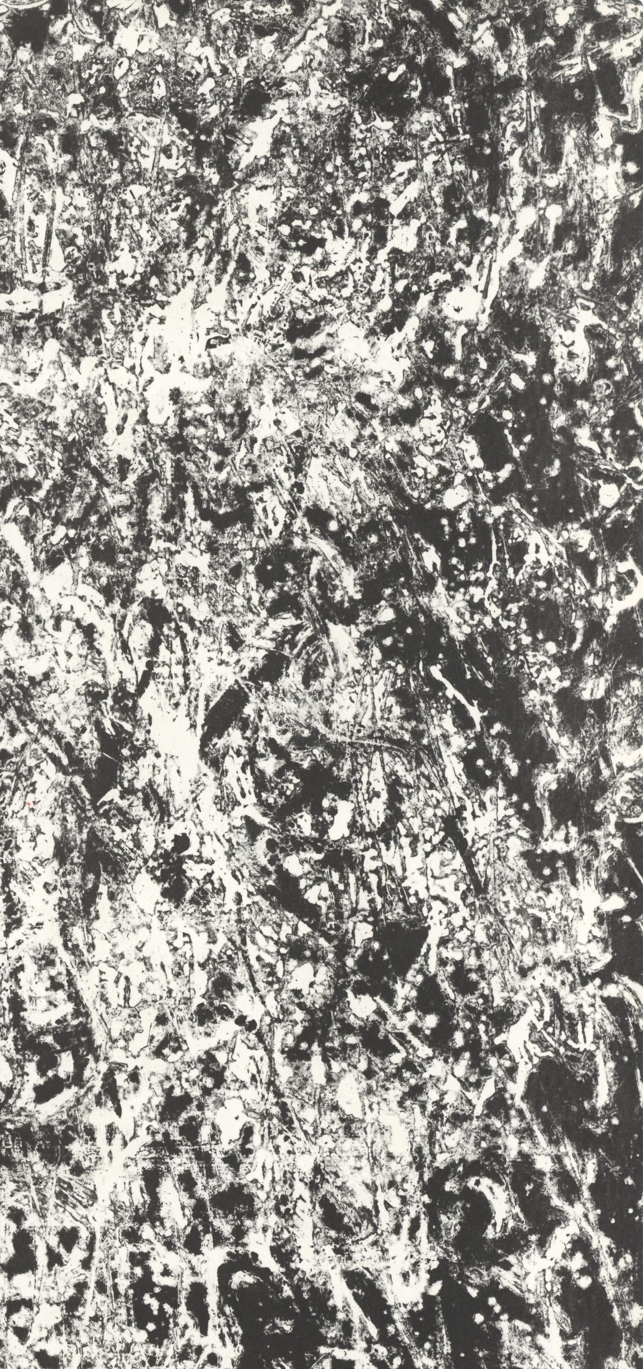 Lithographie auf Velin. Beschriftung: Unsigniert und nicht nummeriert. Guter Zustand. Anmerkungen: Aus Derrière le miroir, N° 121-122, herausgegeben von Derrière le miroir, Paris; gedruckt von Galerie Maeght, Paris, 1960. Auszug aus einem Essay von