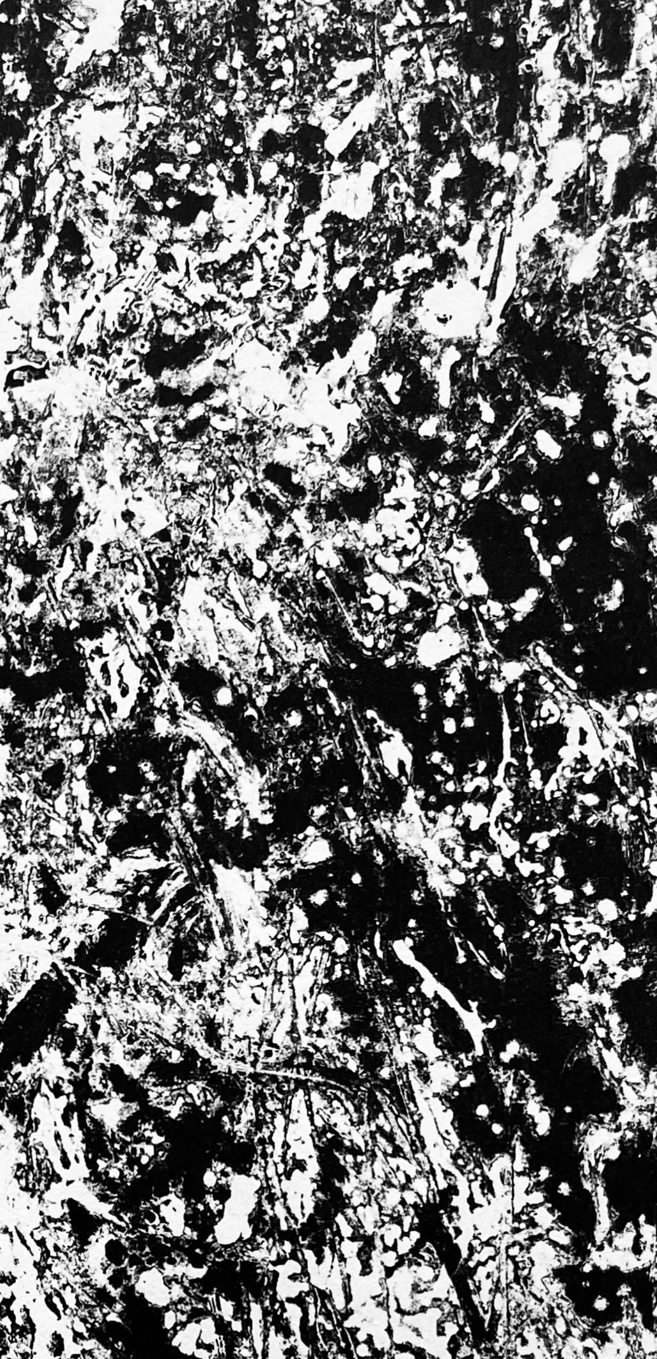 Fiedler, Composition, Derrière le miroir (d'après) - Noir Abstract Print par François Fiedler