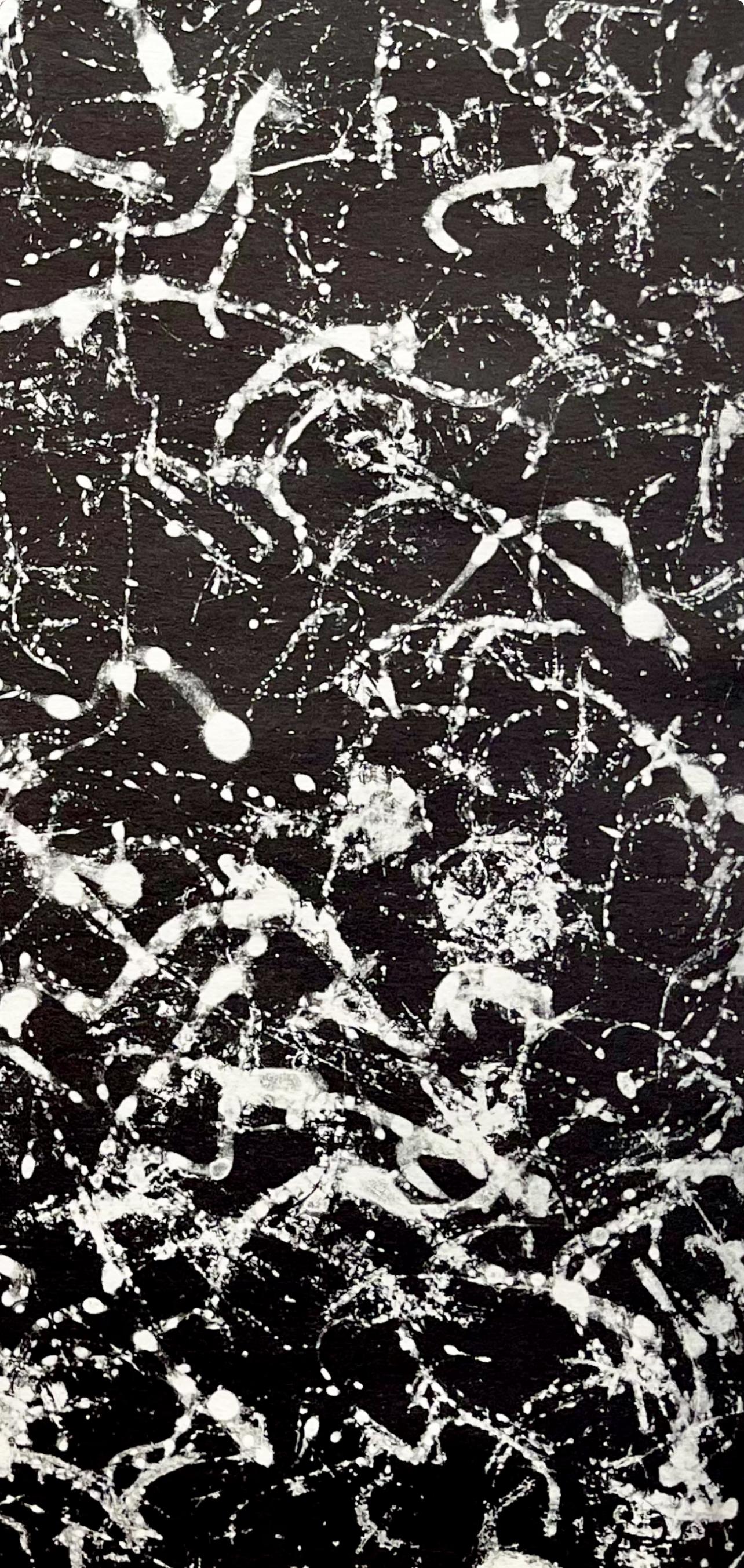 Fiedler, Composition, Derrière le miroir (d'après) - Noir Still-Life Print par François Fiedler