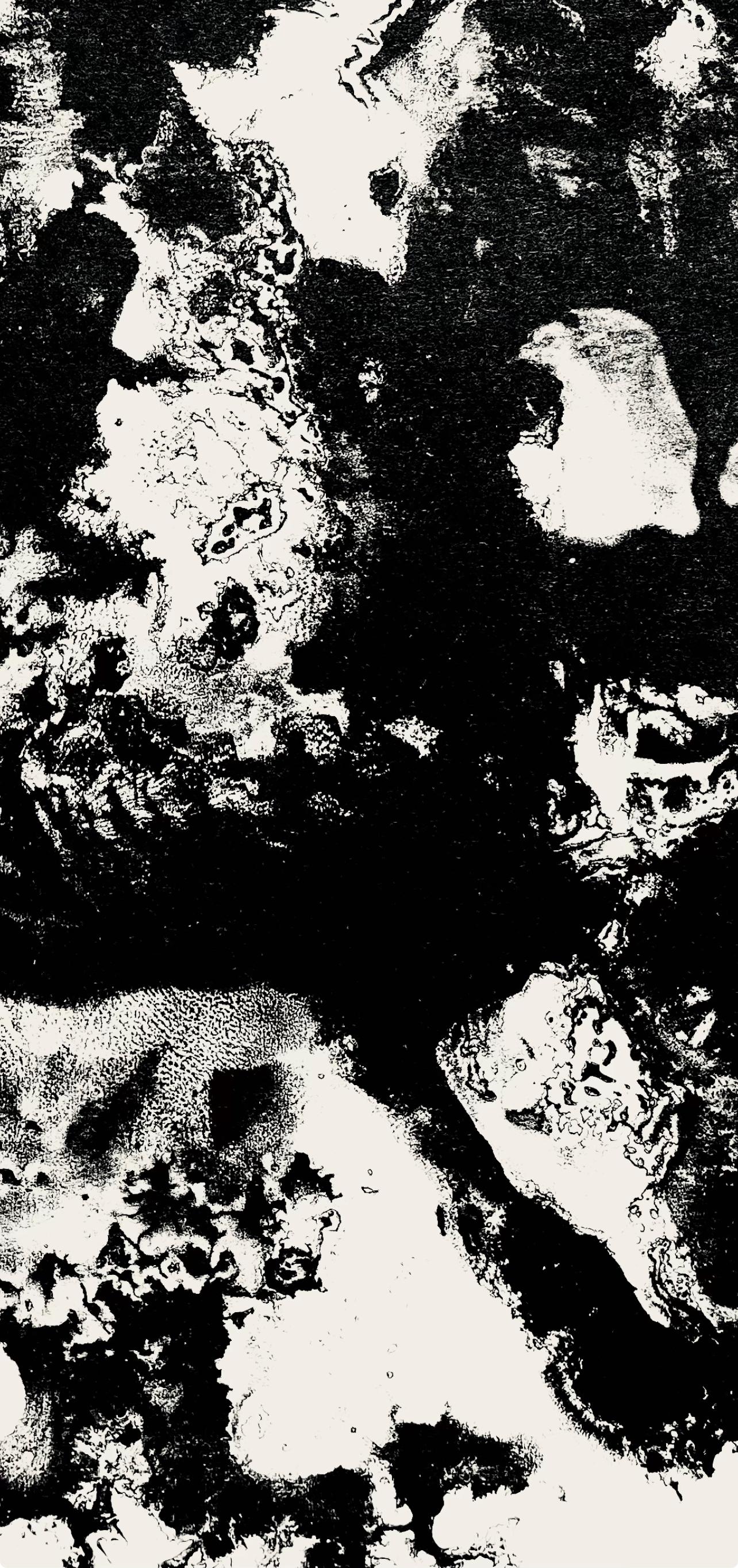 Fiedler, Composition, Derrière le miroir (d'après) - Noir Abstract Print par François Fiedler