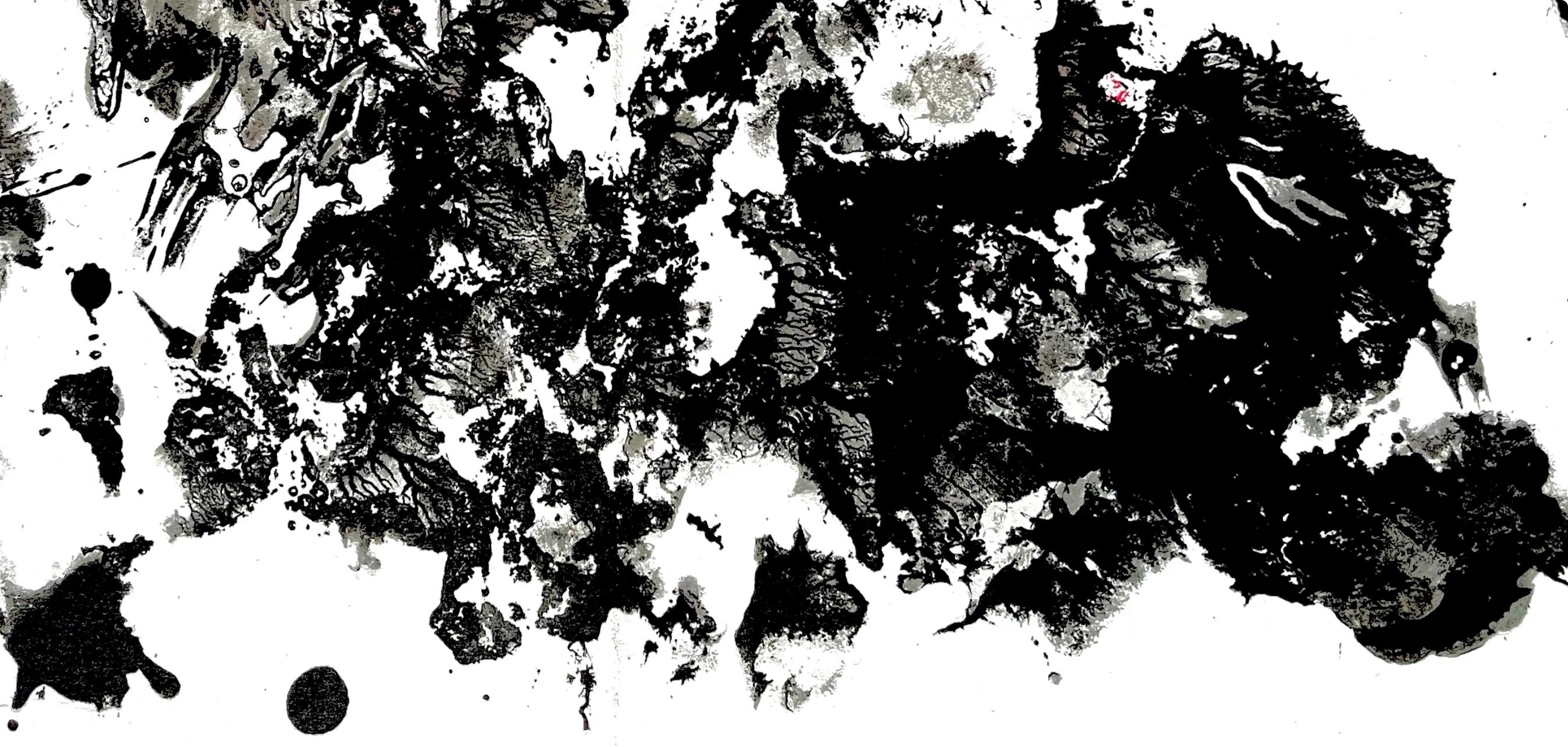Fiedler, Composition, Derrière le miroir (d'après) - Noir Still-Life Print par François Fiedler
