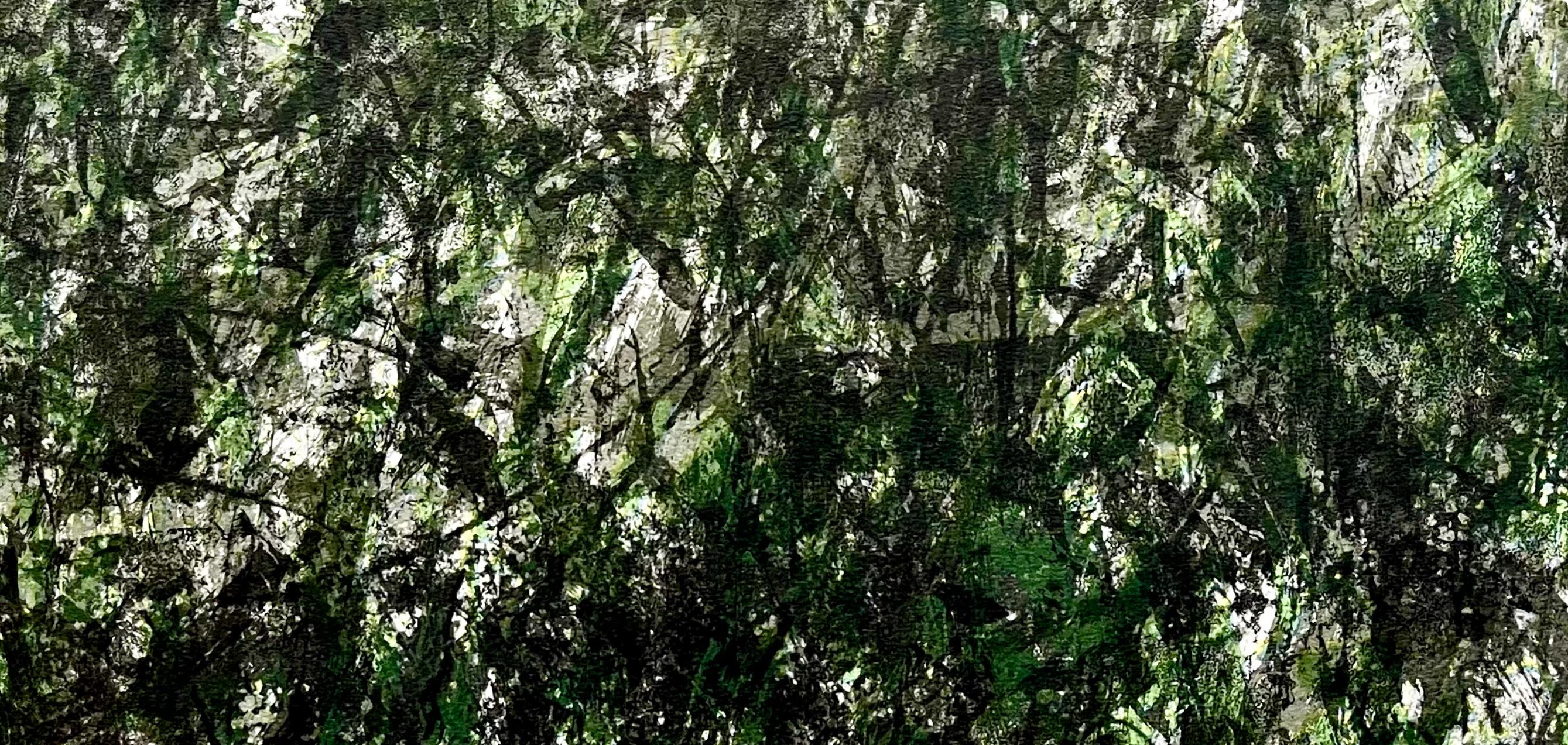 Fiedler, Composition, Derrière le miroir (d'après) en vente 1
