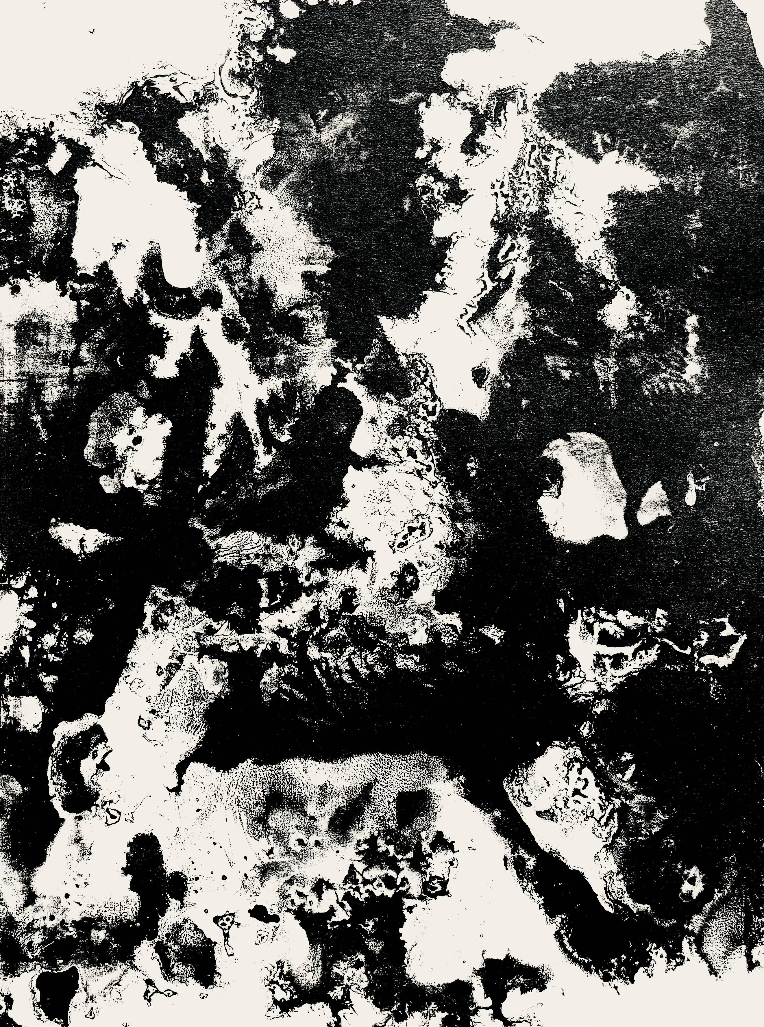 Abstract Print François Fiedler - Fiedler, Composition, Derrière le miroir (d'après)