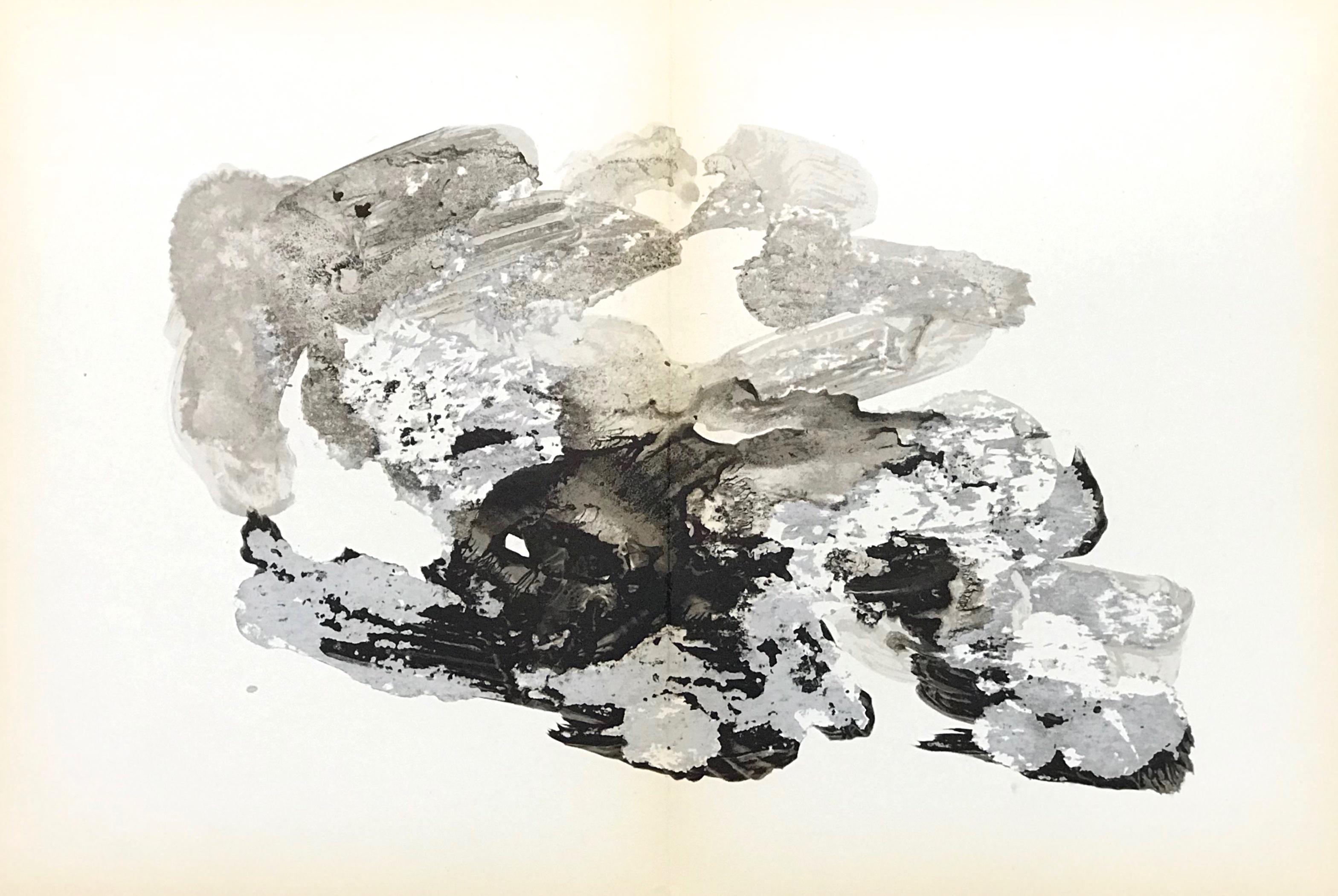 original lithograph - Print by François Fiedler