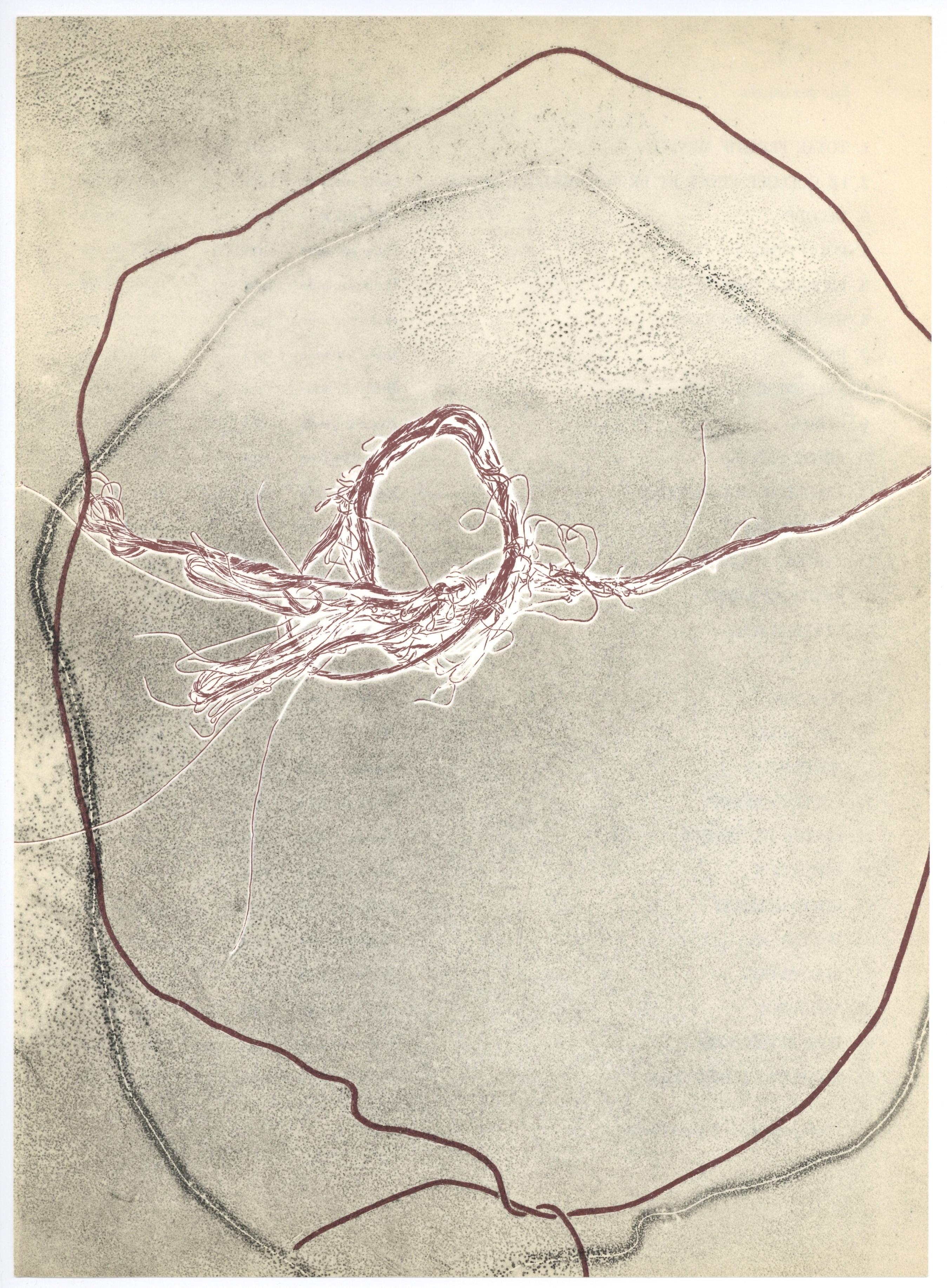 original lithograph - Print by François Fiedler
