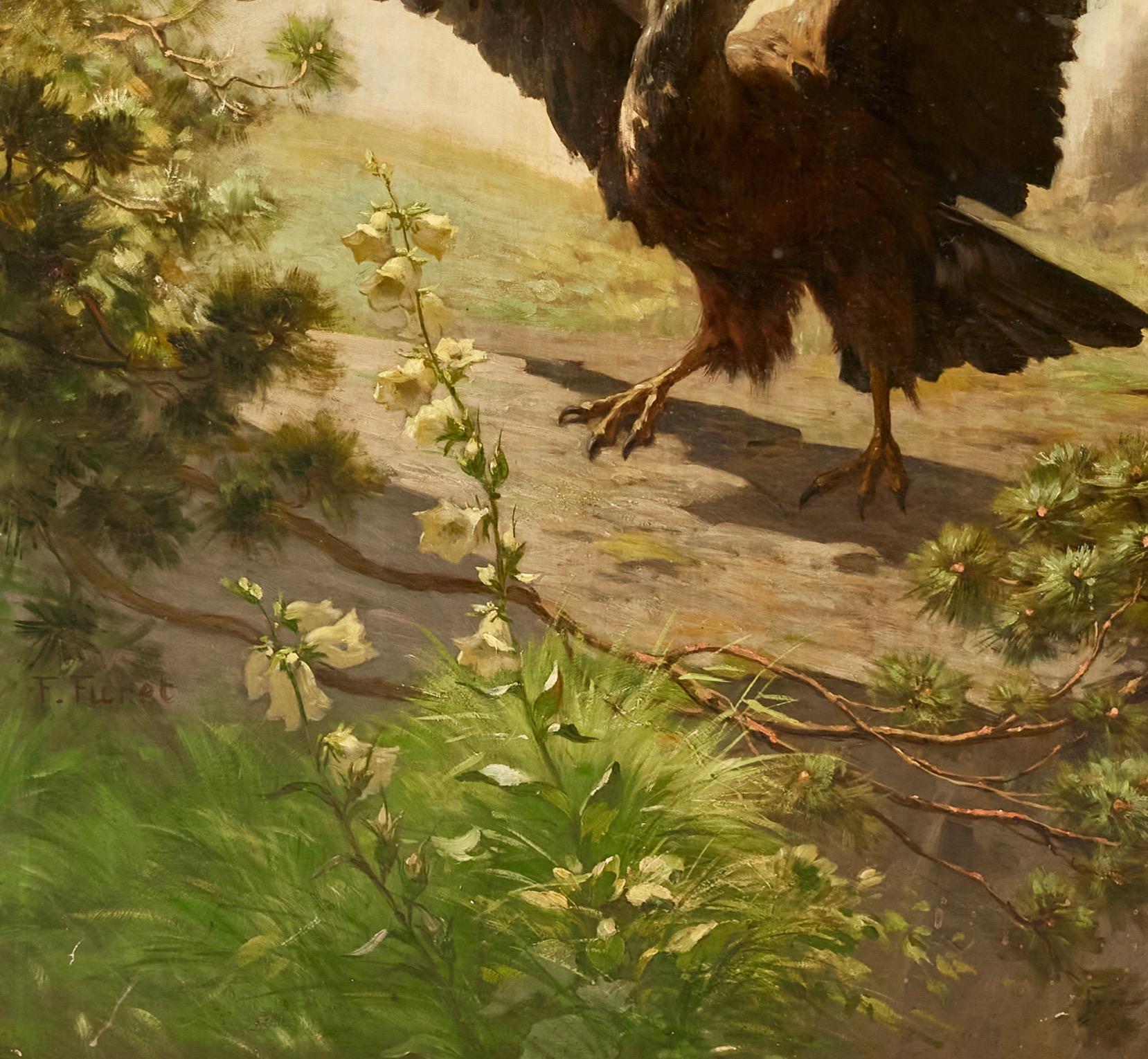 Aquila reale in un paesaggio montano che respinge le cornacchie in vendita 1