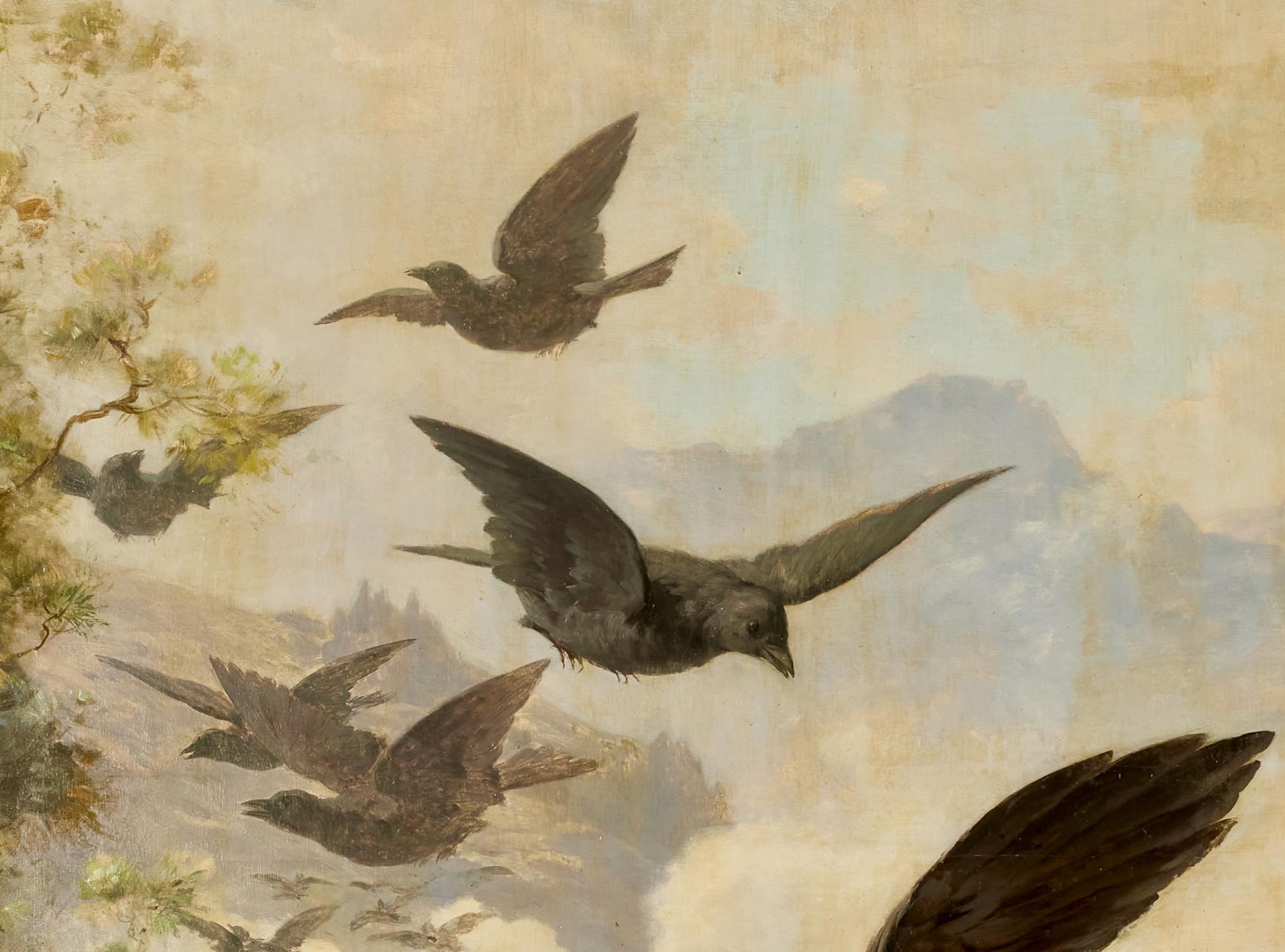 Aquila reale in un paesaggio montano che respinge le cornacchie in vendita 3