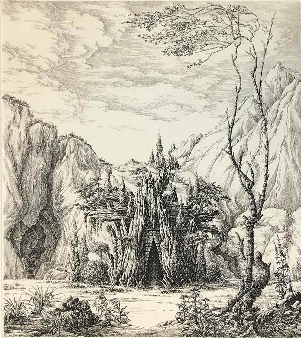 François Houtin Landscape Print - 1er Nymphée
