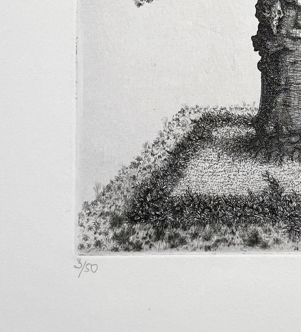 Arbre sans titre, de François Houtin en venta 4