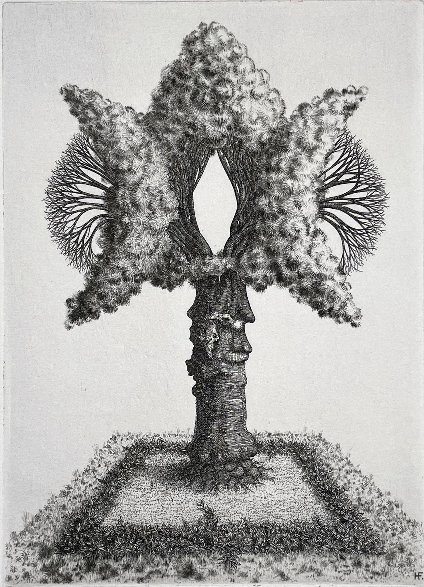 François Houtin Still-Life Print – Arbre ohne Titel, von Francois Houtin
