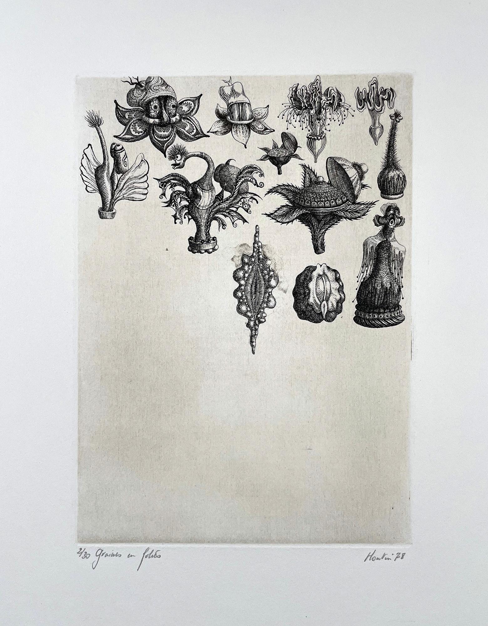 Signed, titled and numbered by the artist, edition of 30.  Imaginary topiary and garden scenes, with incredibly fine line work in the etching in this image of a suspended garden. Others in this series are available.

François Houtin was born in