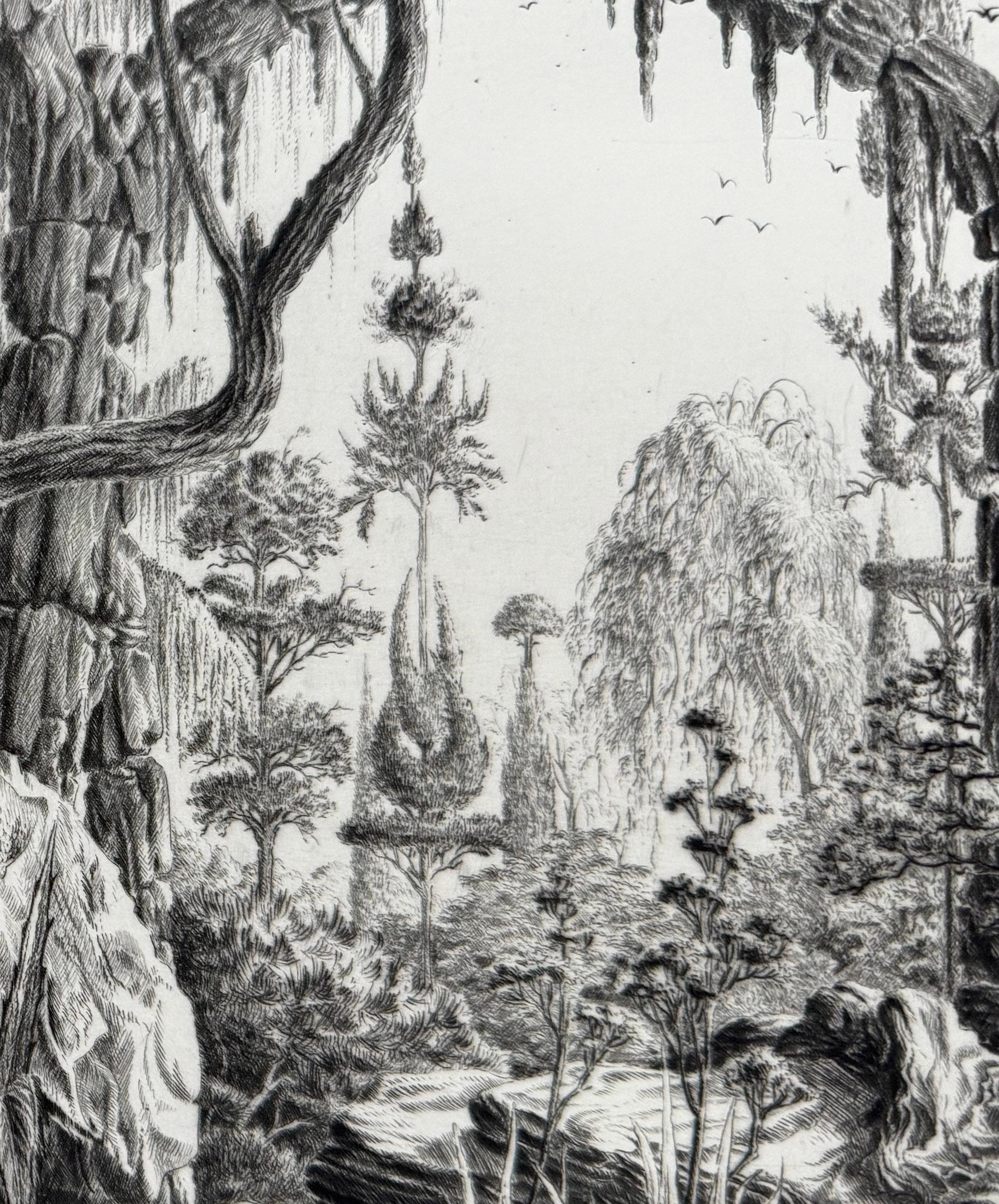 Jardin d'Evasion, François Houtin 2